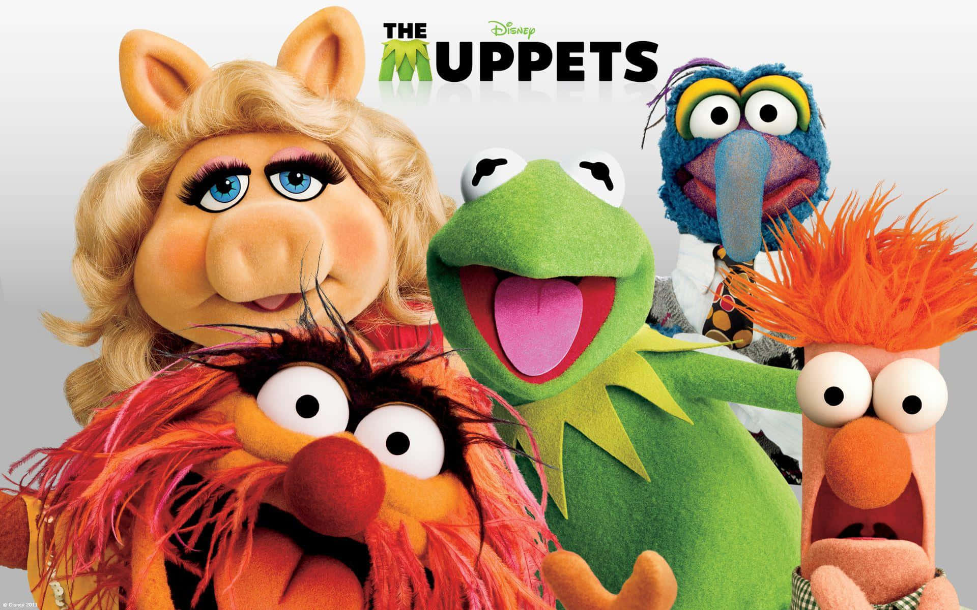 1920x1200 Animal Muppet Wallpaper