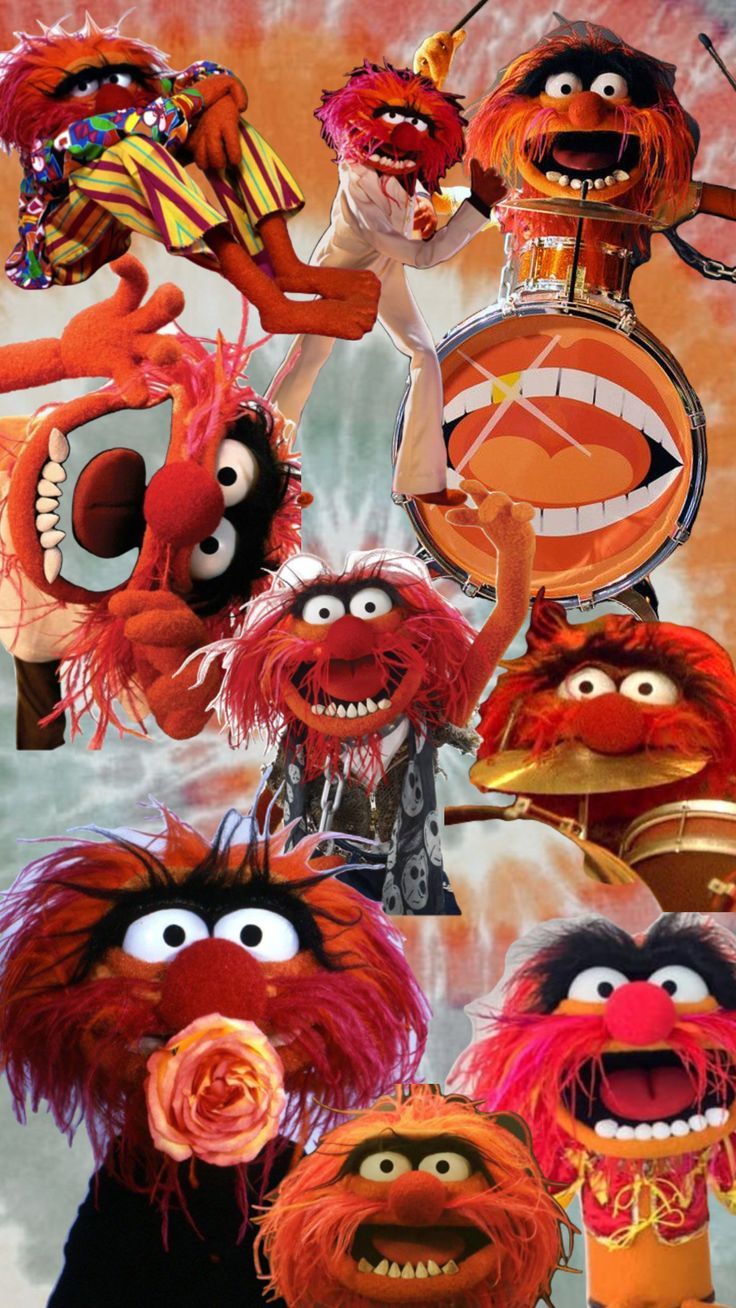 736x1308 myfirstshuffle #muppets #animal