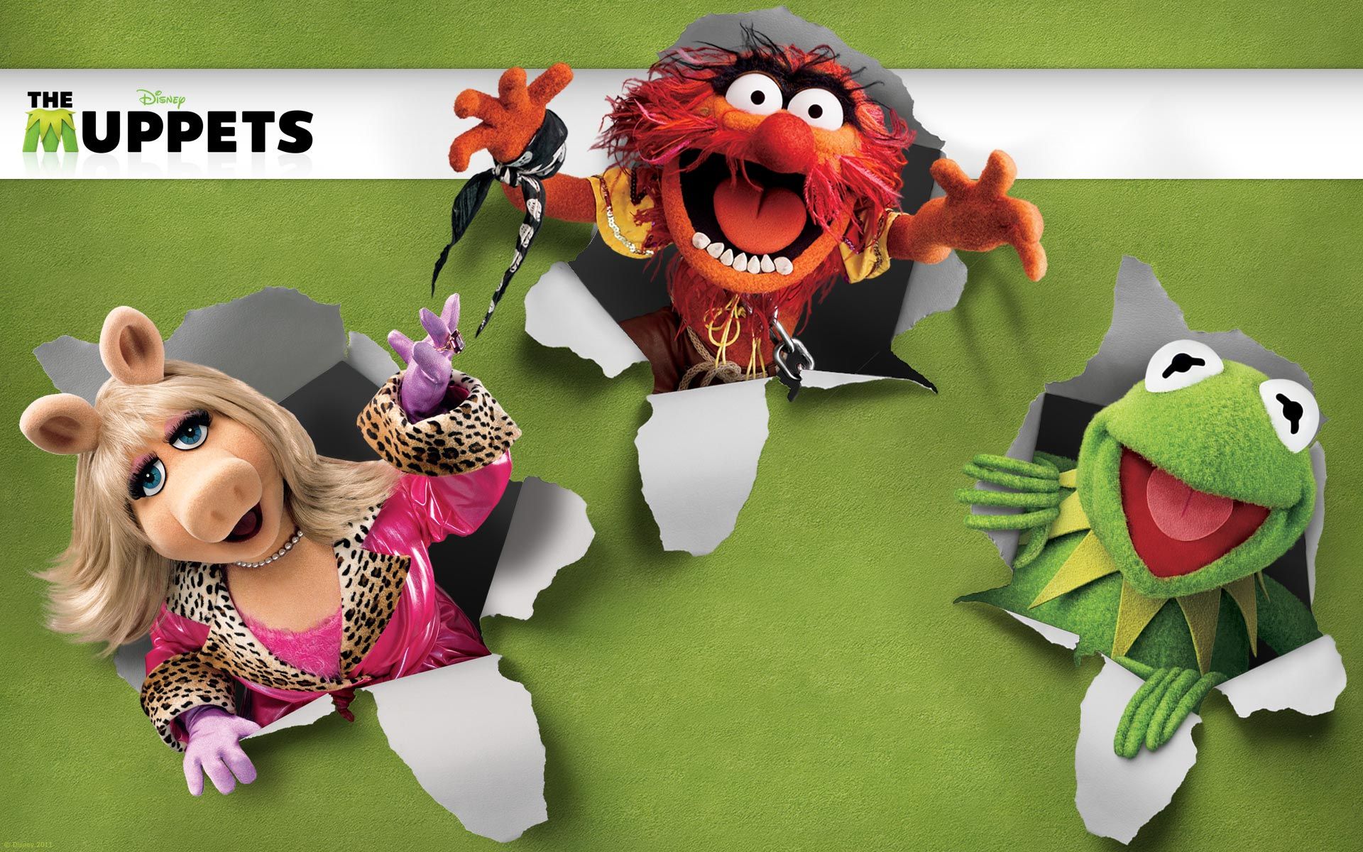 1920x1200 The Muppets Wallpaper