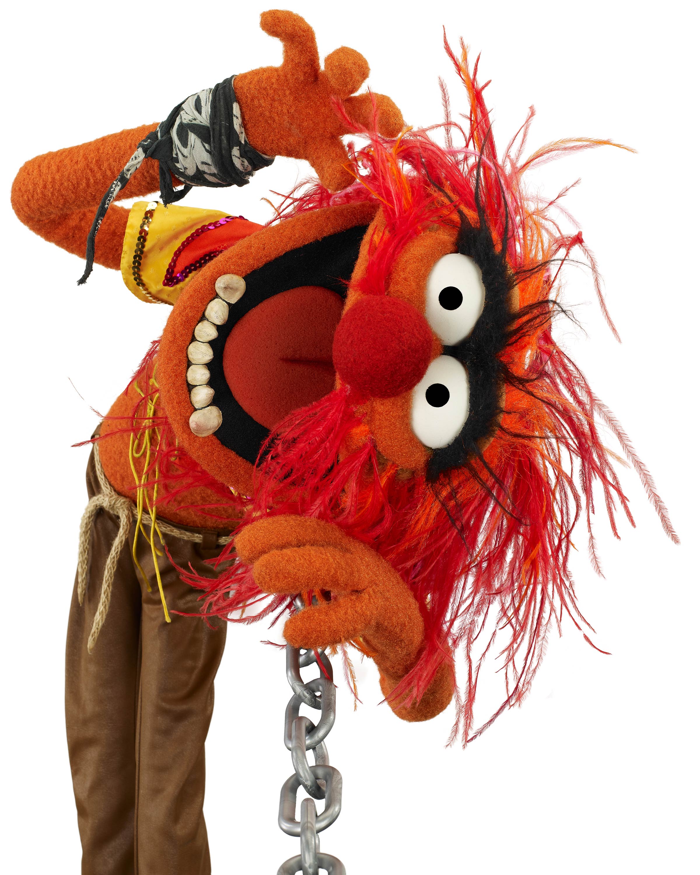 2400x3000 Animal from the 2011 Muppets Movie Desktop Wallpaper