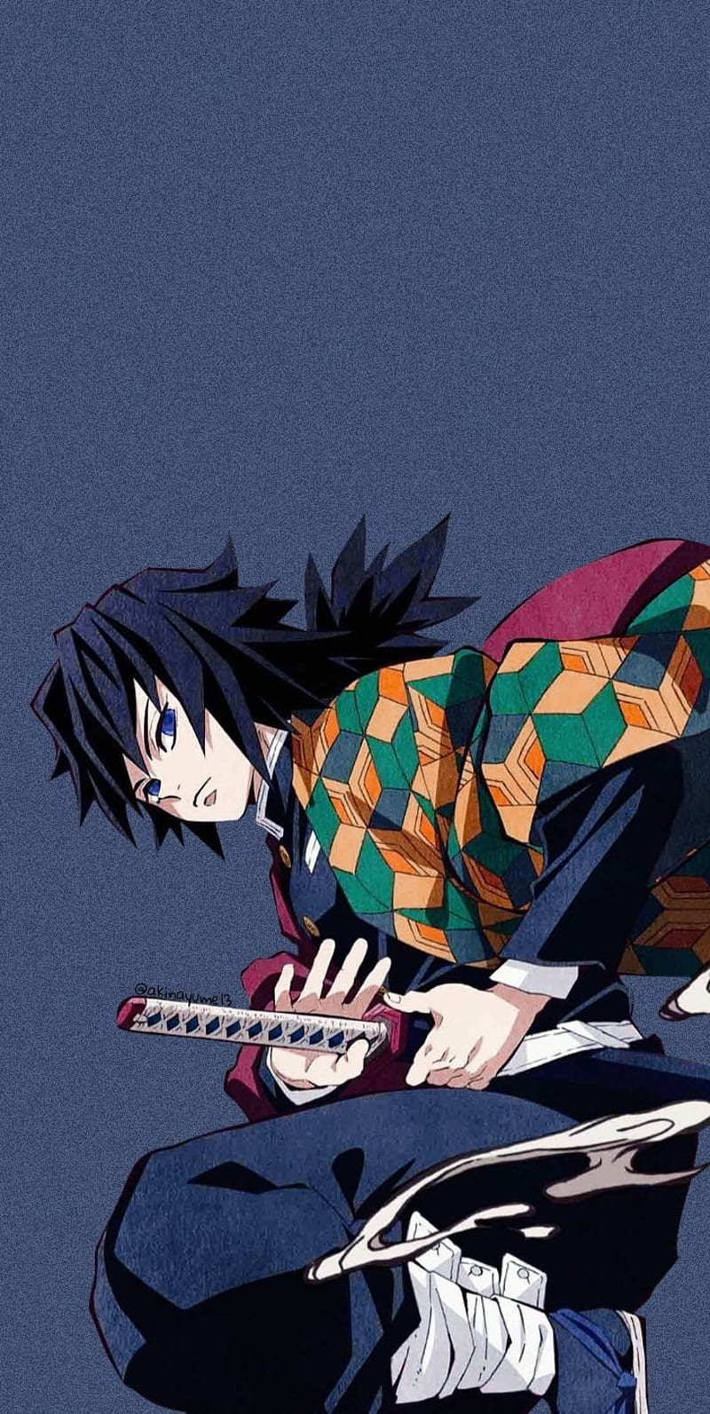 800x1593 Giyu Tomioka, kimetsu no yaiba, HD phone wallpaper
