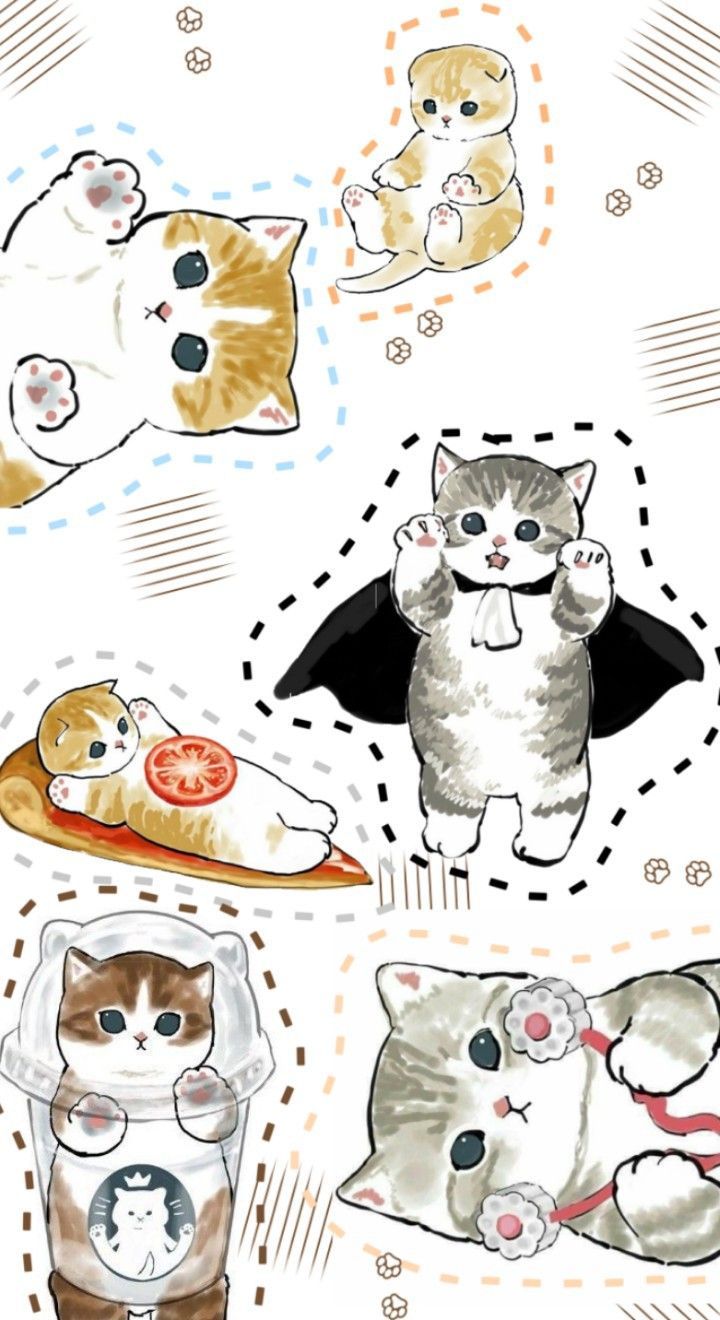 720x1320 cute kitten wallpaper By: me