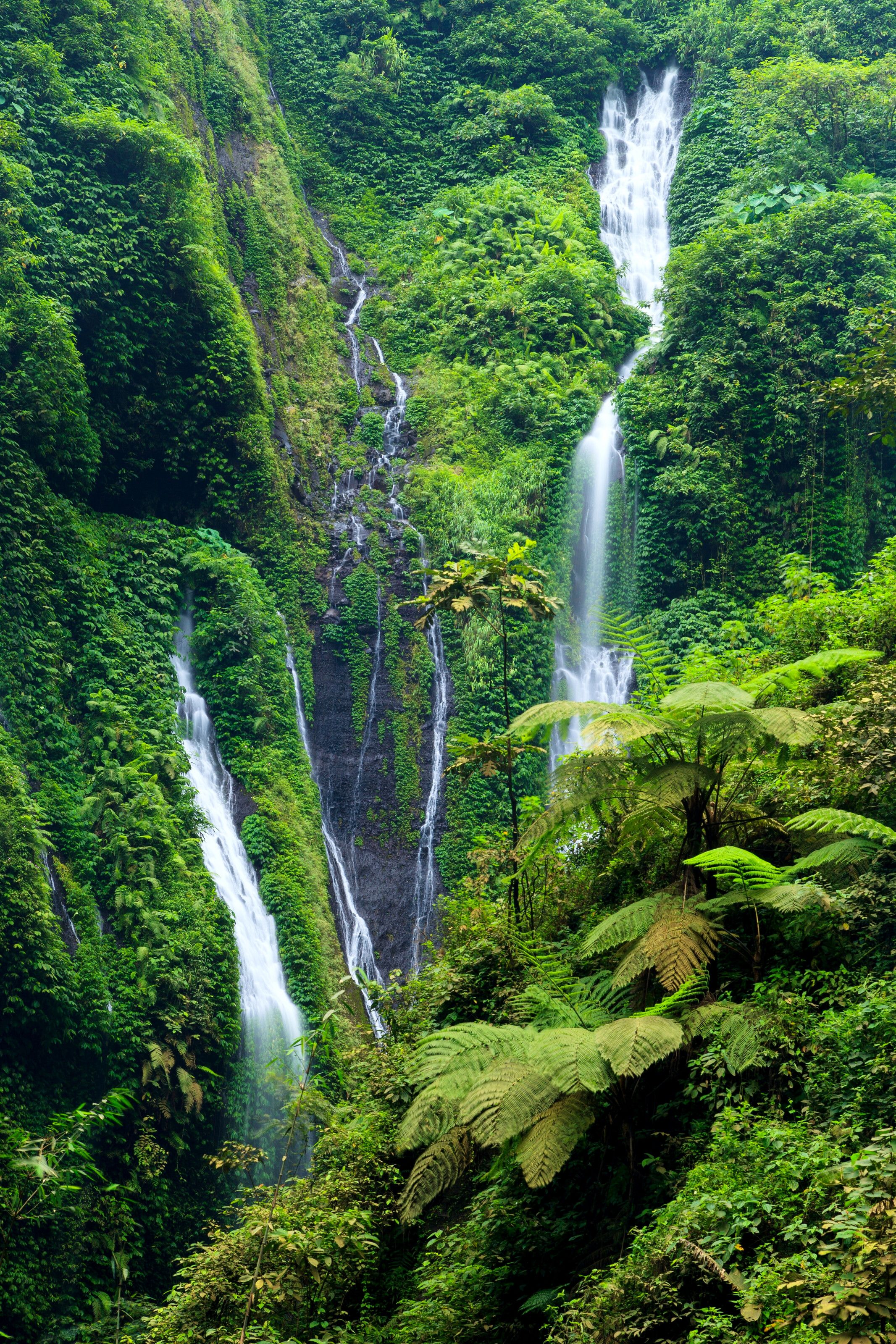 2133x3200 Madakaripura Waterfall in East Java, Indonesia Wall Mural