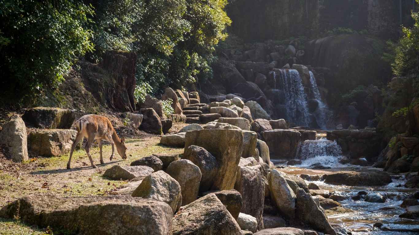 1366x768 East Java Highlights, A Complete List Of Must Visit Spots