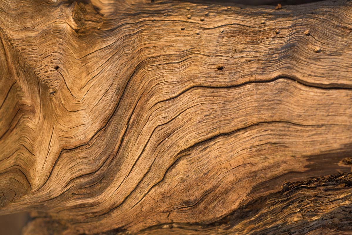 1200x800 Rustic Natural Wood Grain Wallpaper Mural