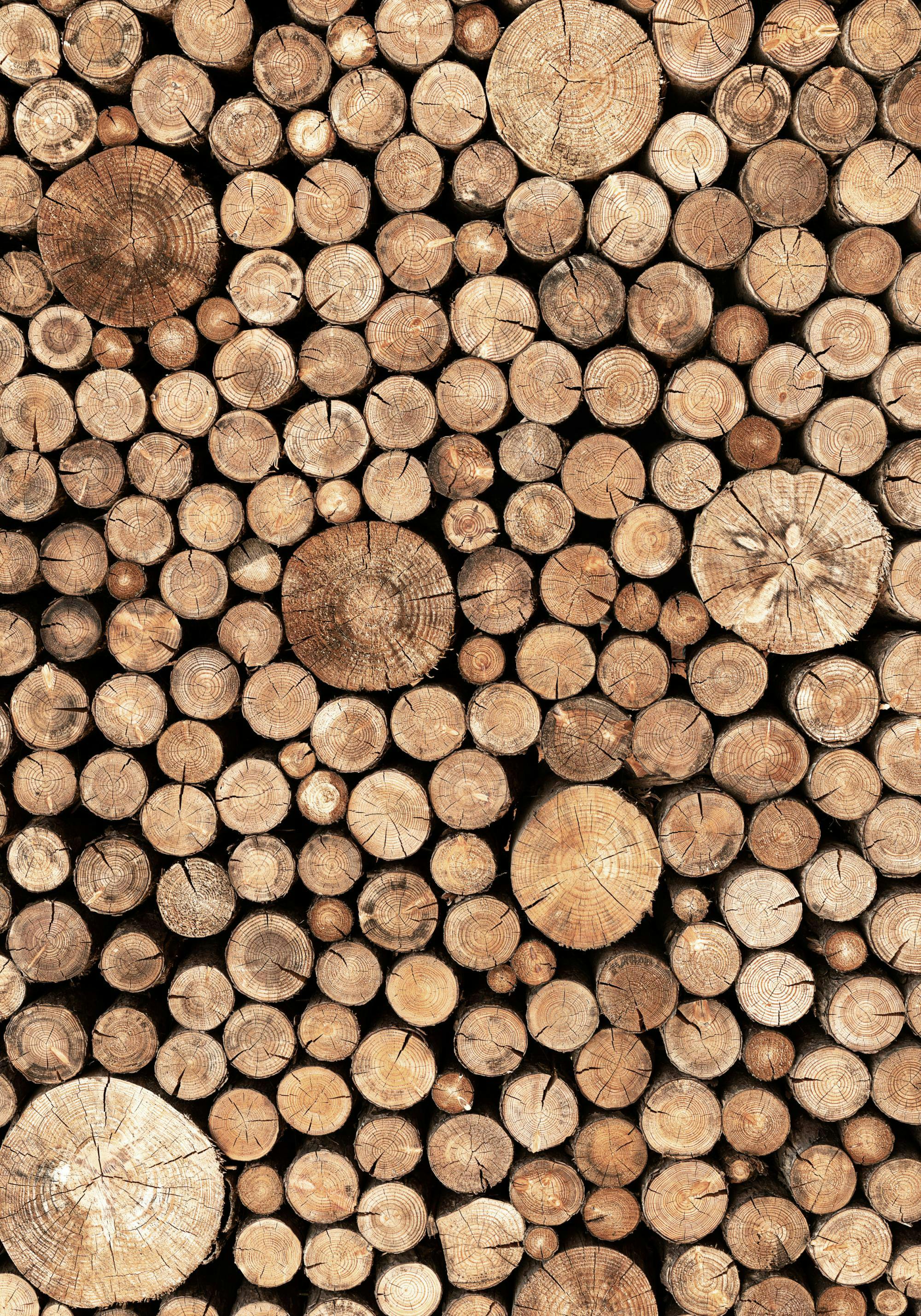 2000x2857 Wood Logs Poster