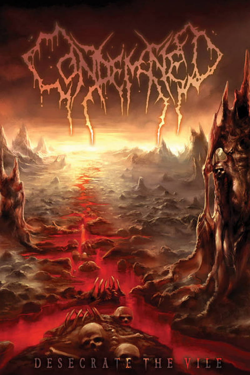 800x1201 Condemned, USDM, Stop looking at ne swan, Brutal Death Metal, HD phone wallpaper