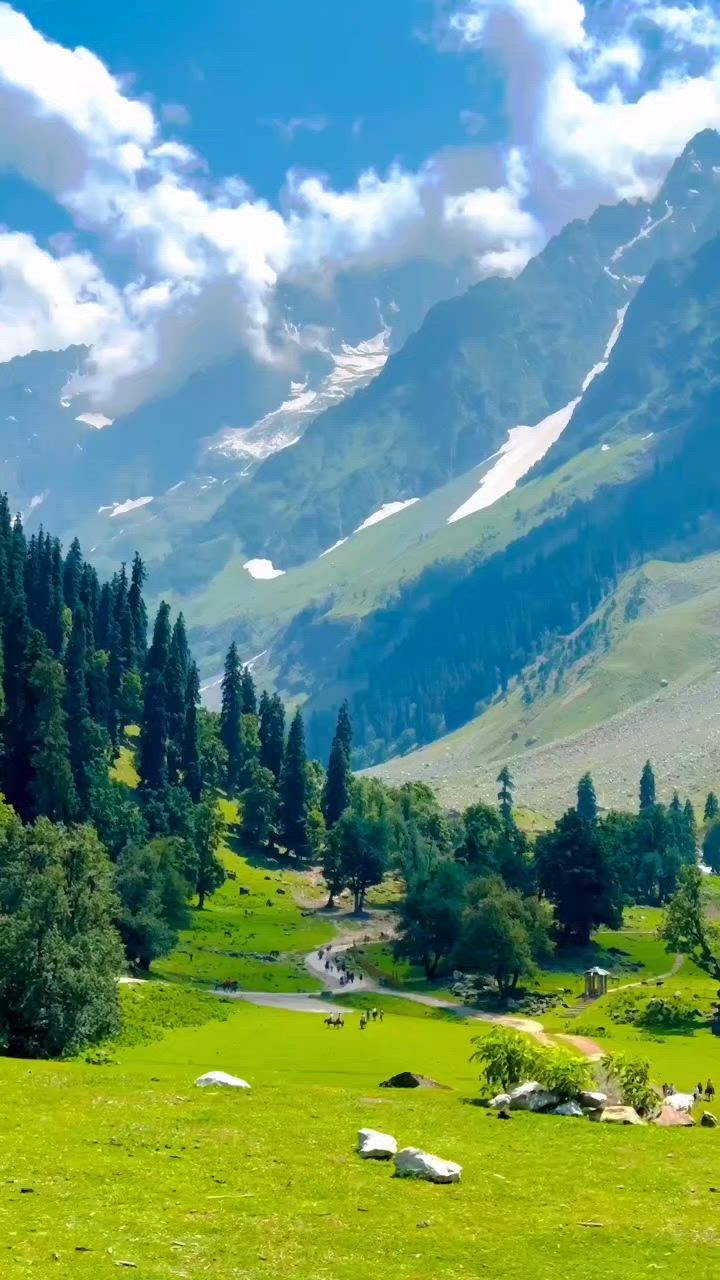 720x1280 Kashmir View. Heaven In Earth. Kashmir Dream. Exploring Kashmir. Love Travelling