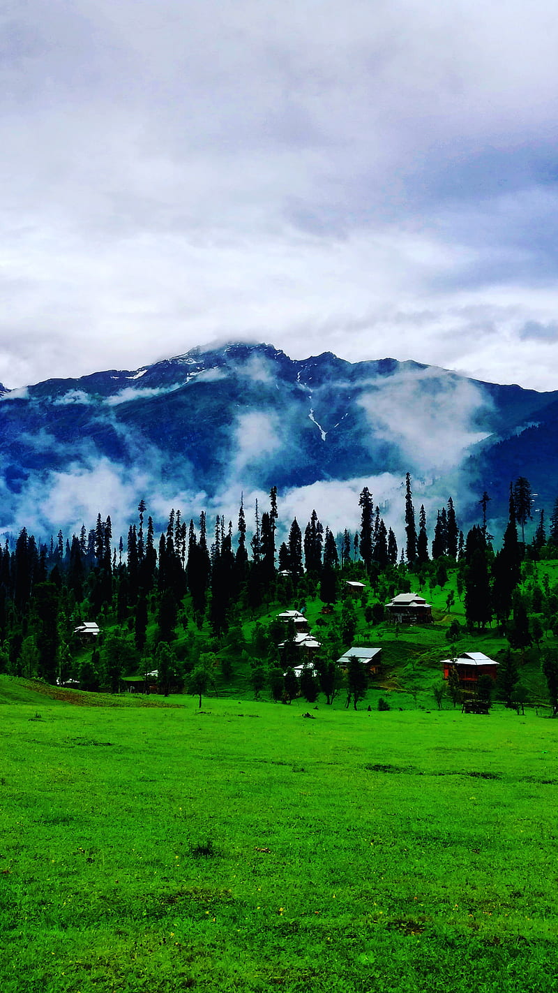 800x1422 HD kashmir landscape wallpaper
