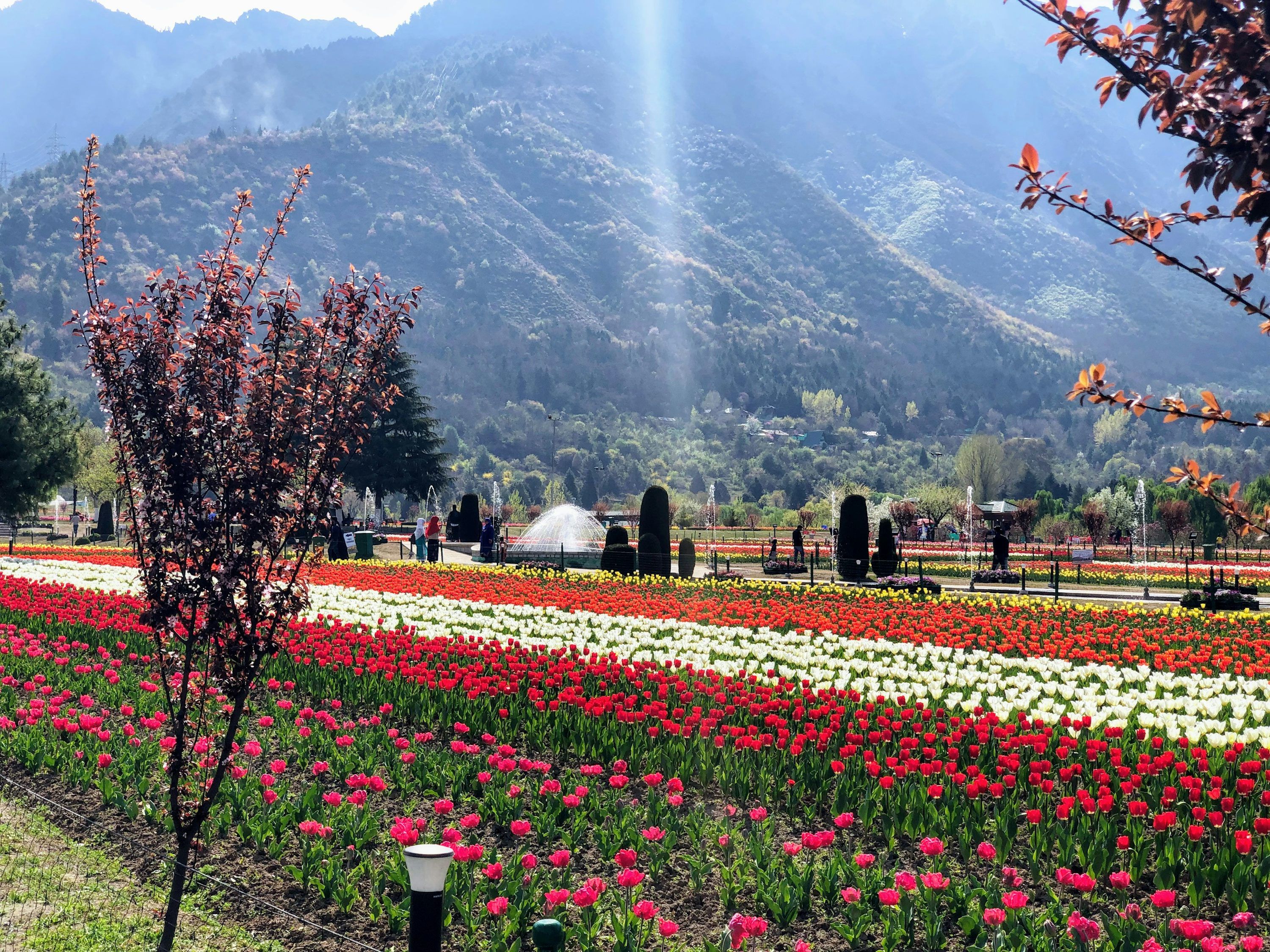 3000x2250 Best Kashmir Picture [HD]. Download Free Image