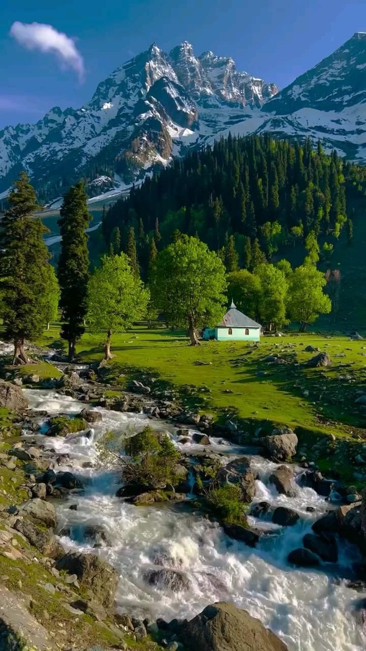 720x1280 Kashmir