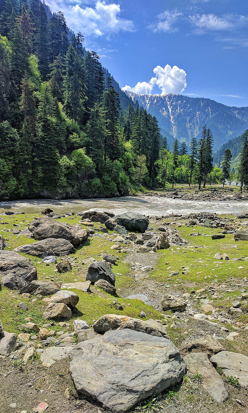 800x1333 Kashmir, clouds, green, neelum valley, trees, HD phone wallpaper