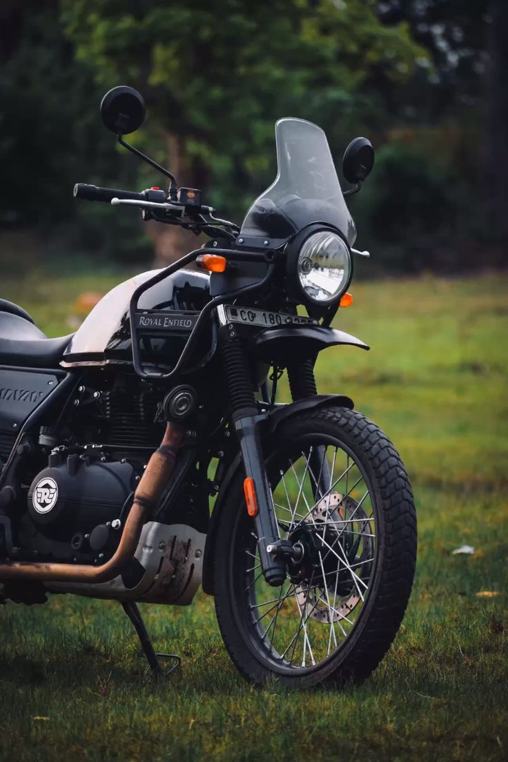 736x1104 Himalayan 411