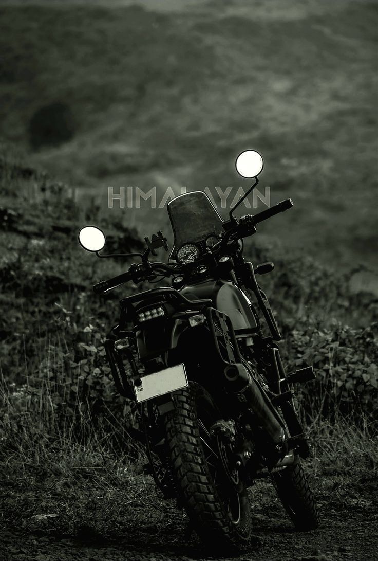 736x1091 Himalayan bs6 411