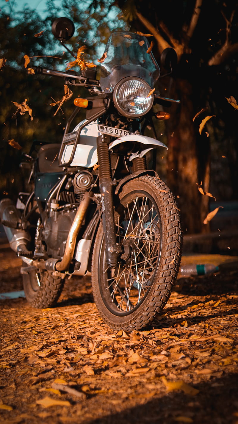 800x1425 HIMALAYAN bike, explore, explorer, motorbike, motorcycle, rider, royal enfield, HD phone wallpaper