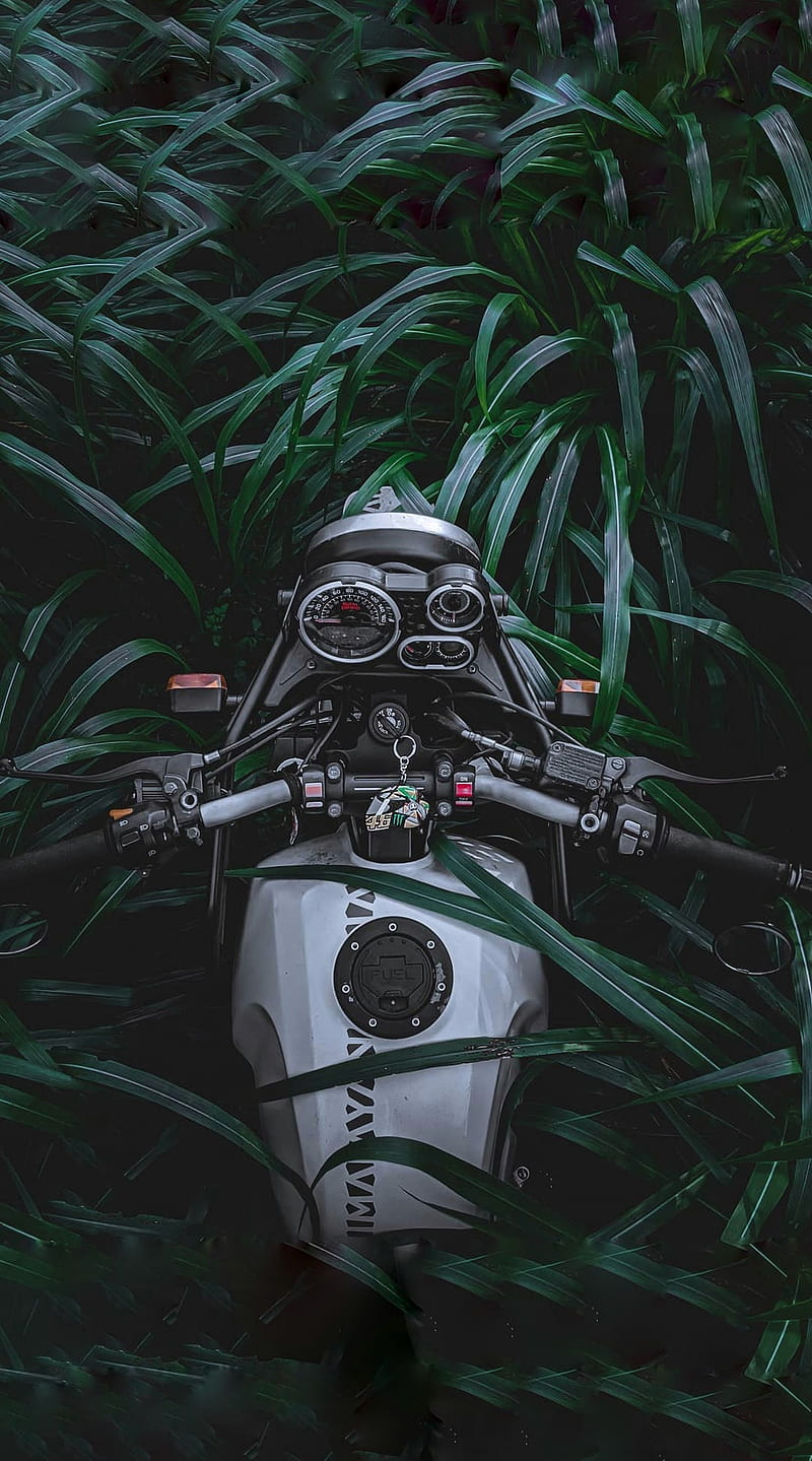 800x1439 Himalayan royal enfield, HD phone wallpaper