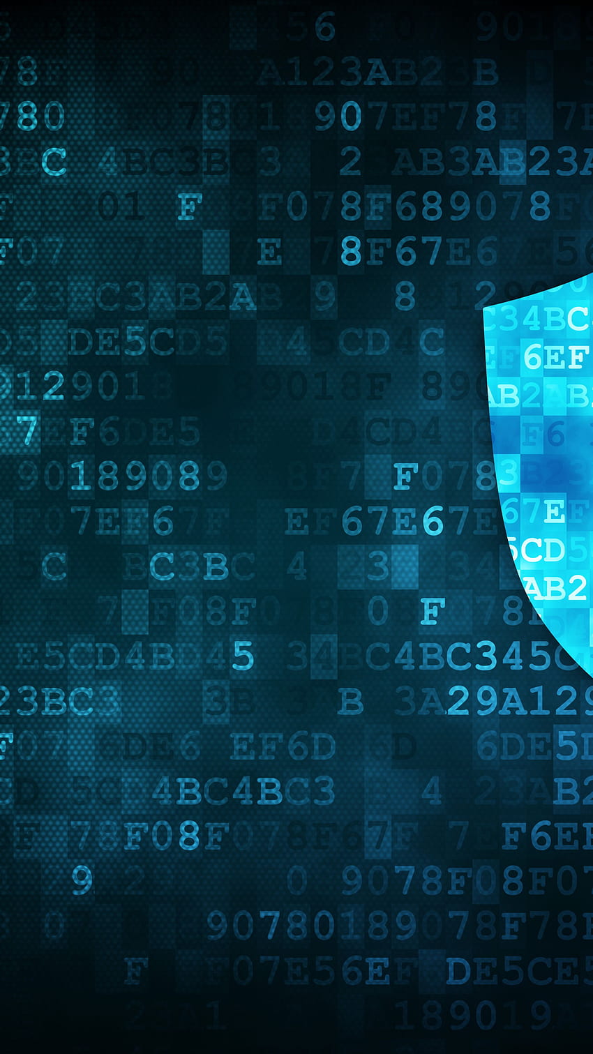 850x1511 Cyber security phone HD wallpaper