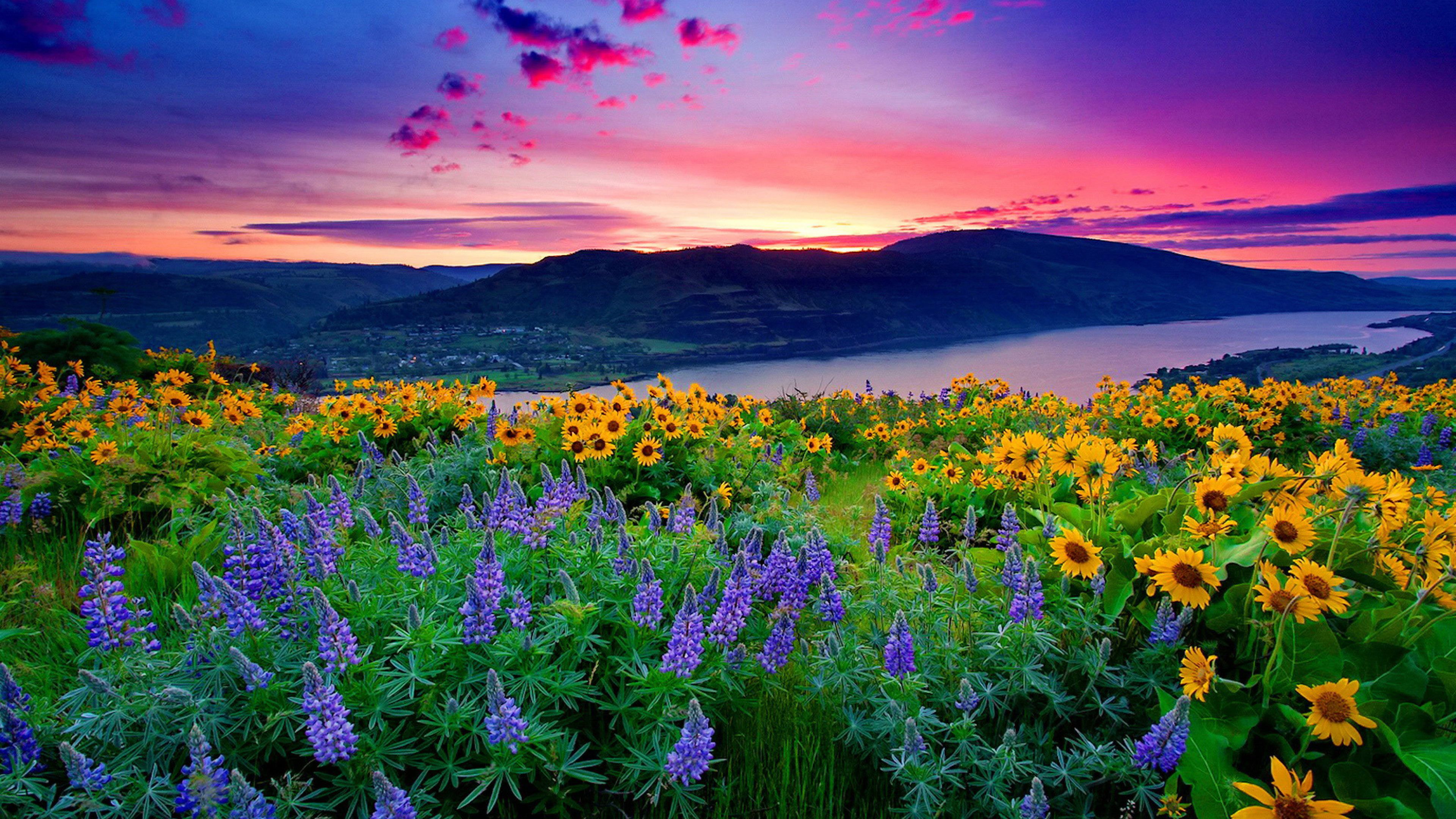 3840x2160 Landscape Of Yellow Flowers And Blue Mountain Lake Hills Under Red Cloud Sunset 4K HD Nature Wallpaper