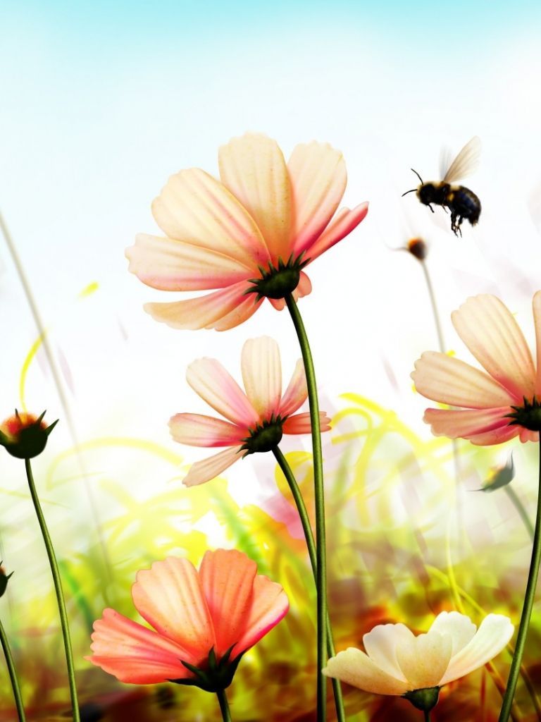 768x1024 Wallpaper Nature Flowers