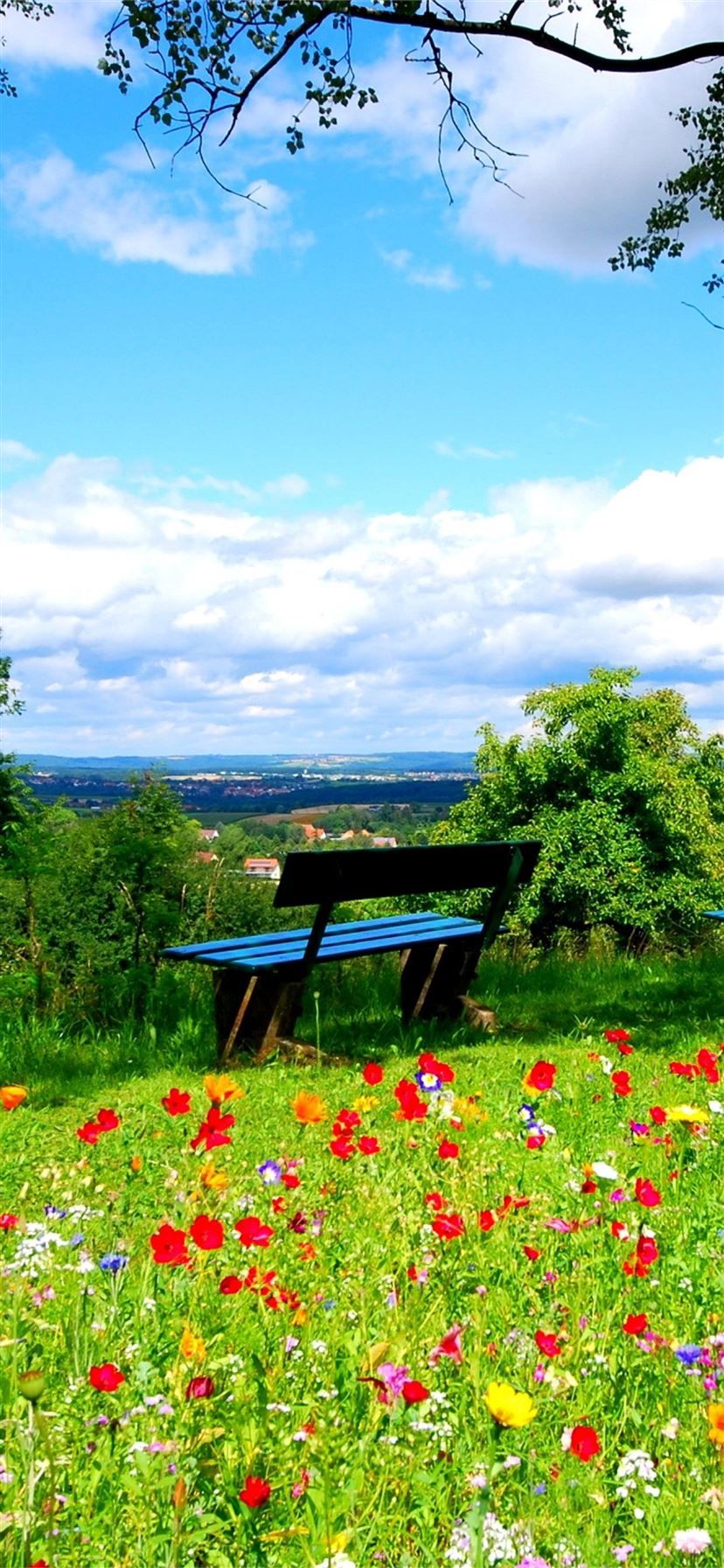828x1792 Clouds and Spring Flowers Best HD For Android Devi. iPhone 11 Wallpaper Free Download
