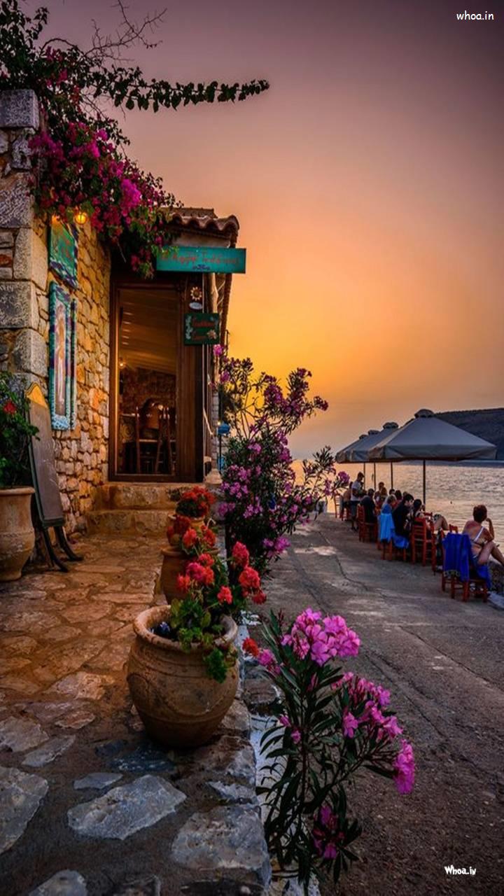 720x1280 Natural Landscape Flowers HD Image & Mobile Wallpaper
