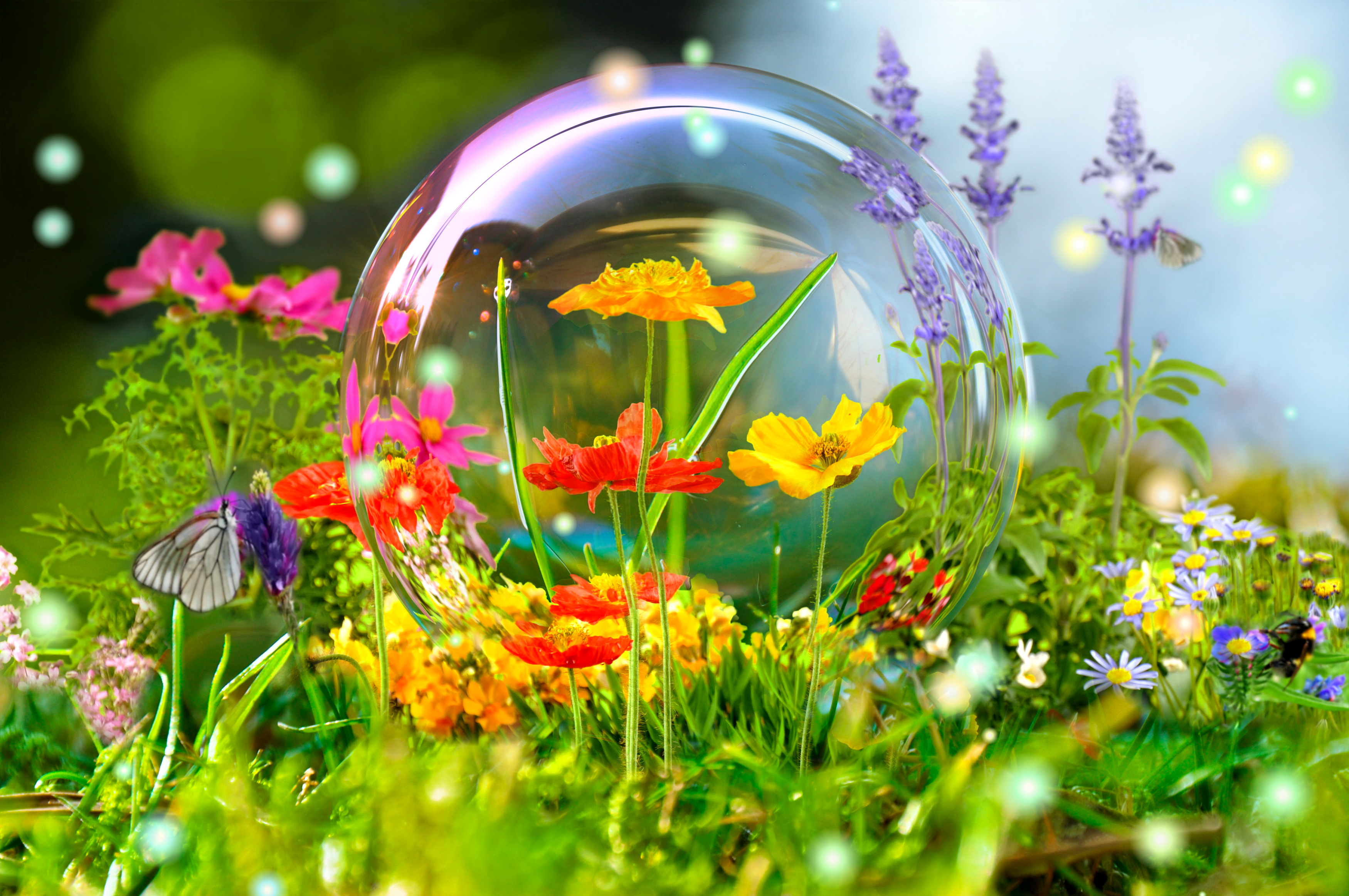 3500x2325 Wallpaper flowers, nature, reflection, bubbles, balls, butterfly, meadow for mobile and desktop, section разное, resolution 3500x2325