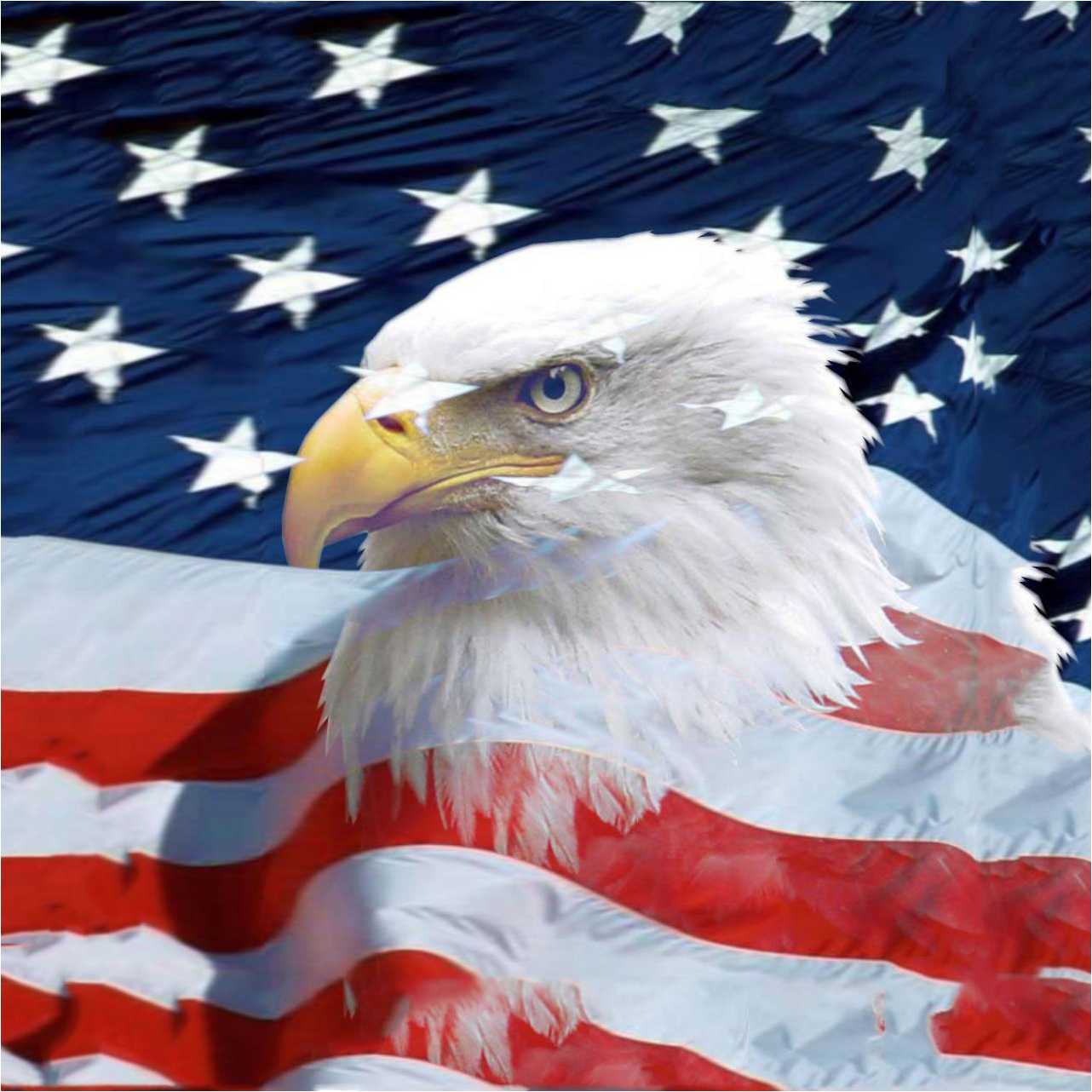 1282x1282 American Eagle Wallpaper Widescreen Best Eagle 2018