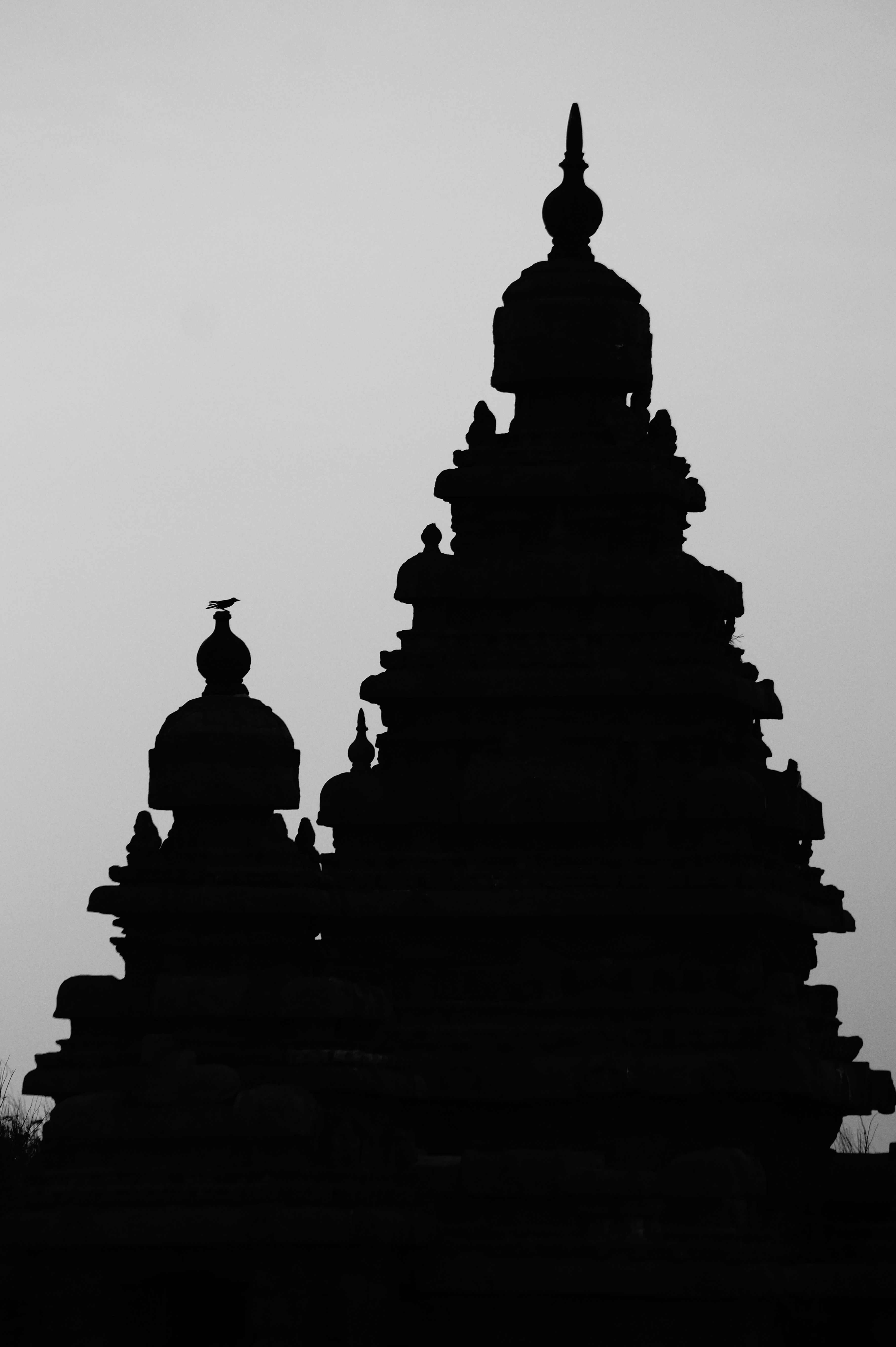 3632x5456 Dark