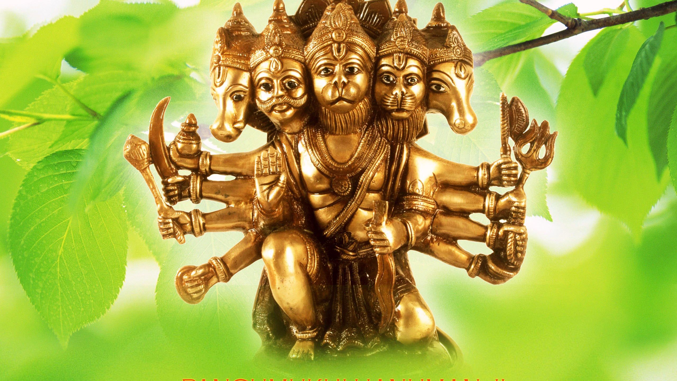 2560x1440 Panchmuki Hanuman Ji HD Hanuman Wallpaper