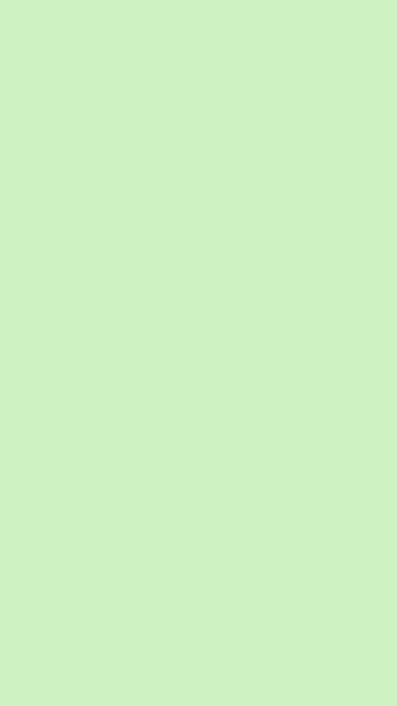 800x1423 Pastel Mint Green Background Image Wallpaper