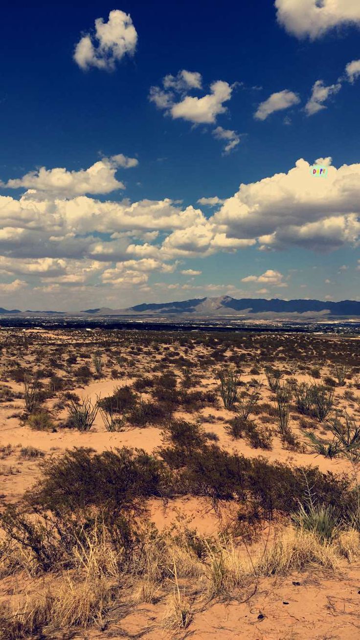 736x1309 Middle of the Desert Texas [750 x 1334]. iPhone 6/ 6S Wallpaper