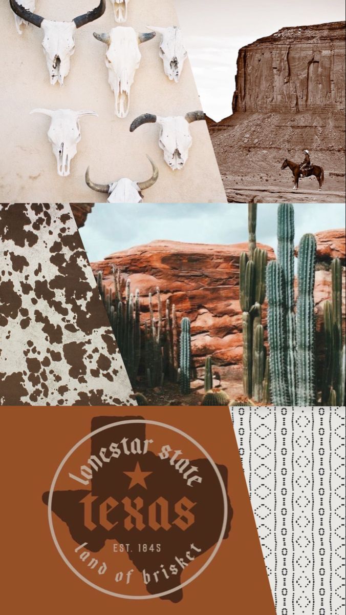 676x1200 Western Wallpaper