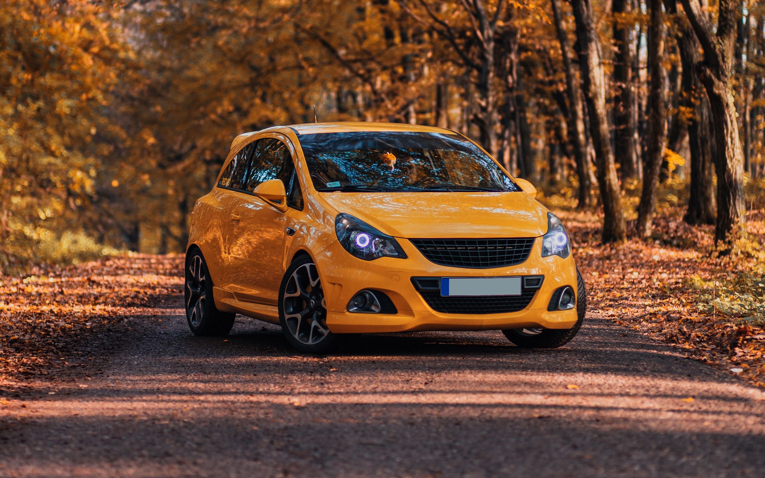 2560x1600 Download wallpaper 2560x1600 opel corsa opc, opel, car, yellow, front view, autumn widescreen 16:10 HD background