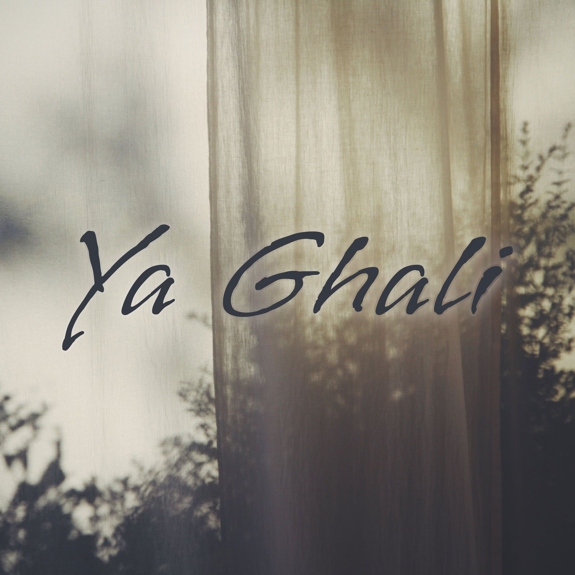 1900x1900 Zaid Owies Ghali (Cover)