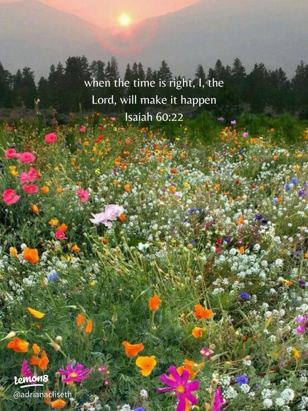 1080x1442 Inspirational Bible Verse Wallpaper for Lock Screens