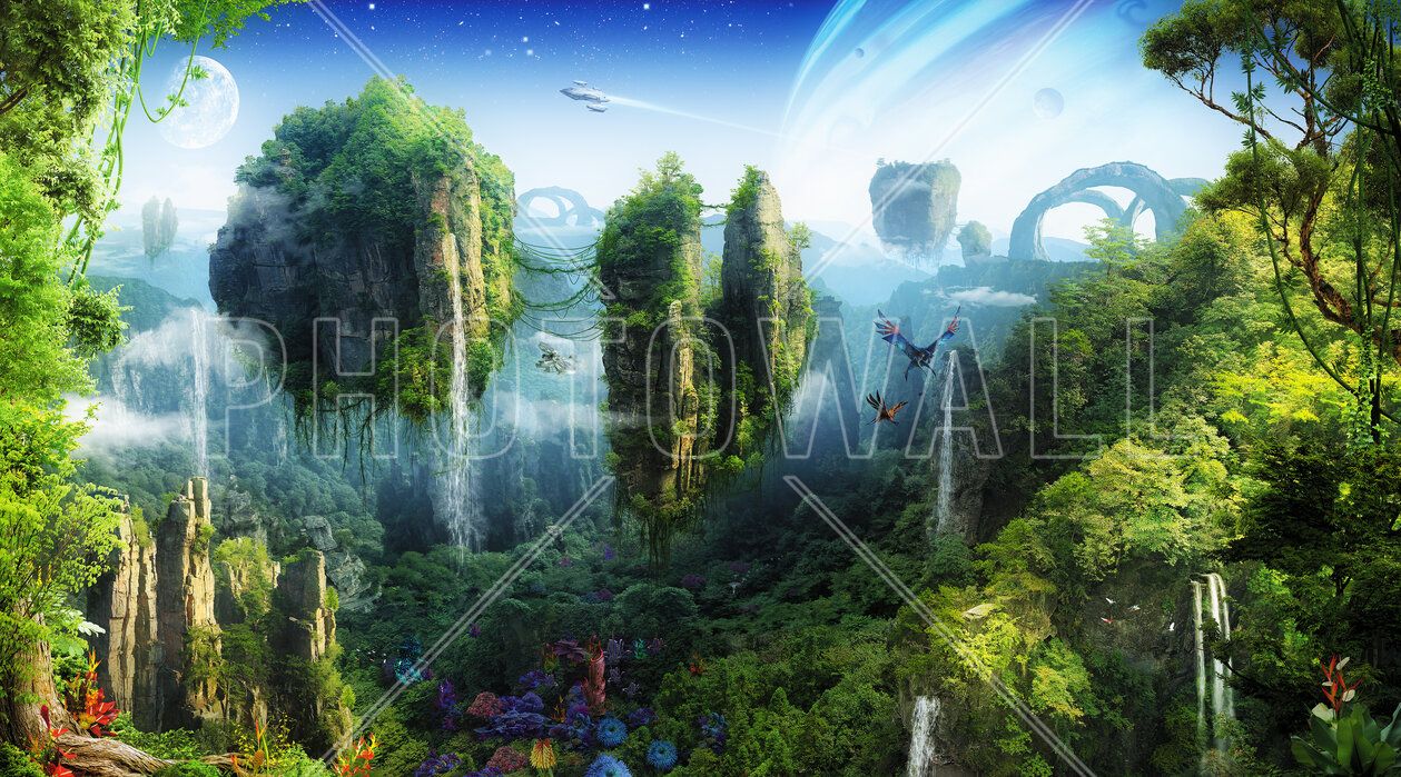 1259x699 Magic Tropical Forest