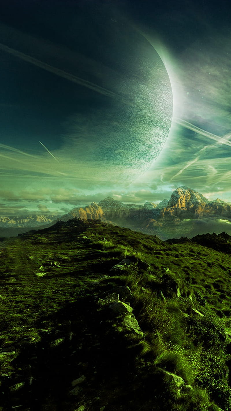 800x1422 HD forest of alien world wallpaper