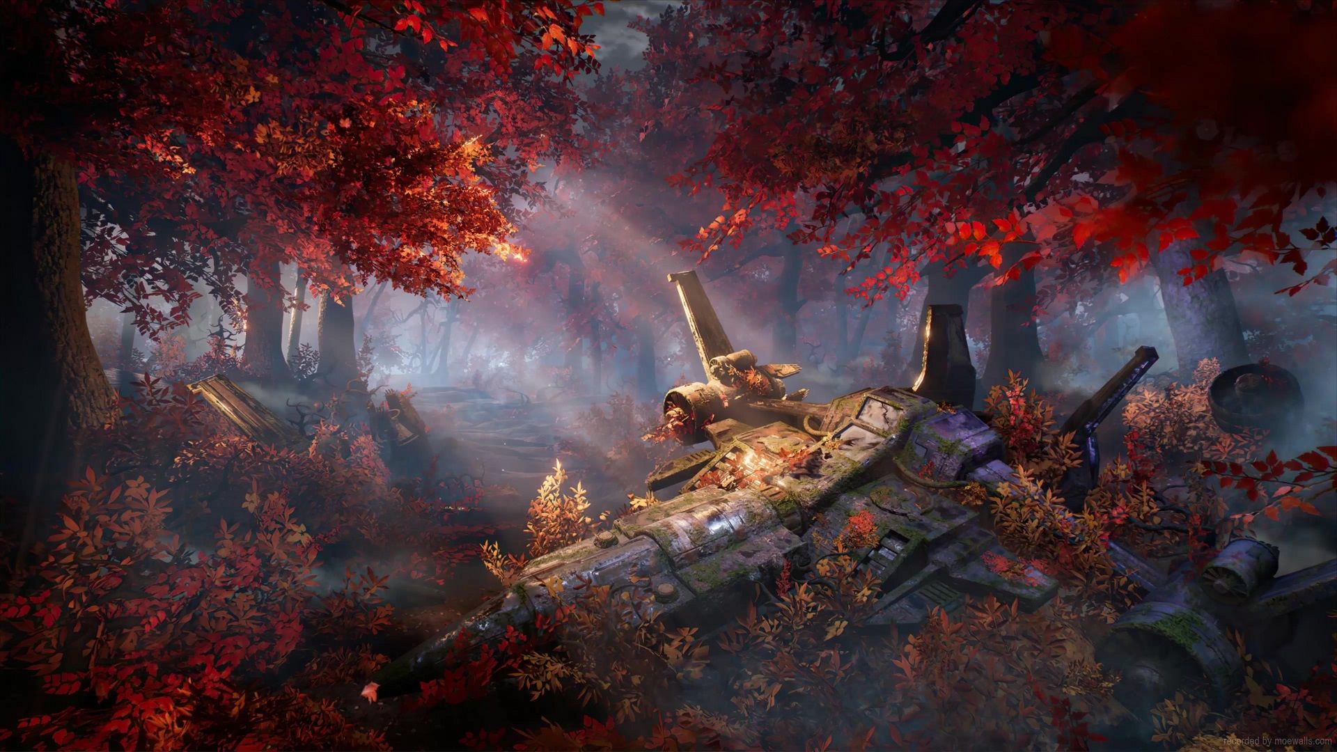 1920x1080 Abandoned Spaceship In The Autumn Forest Live Wallpaper