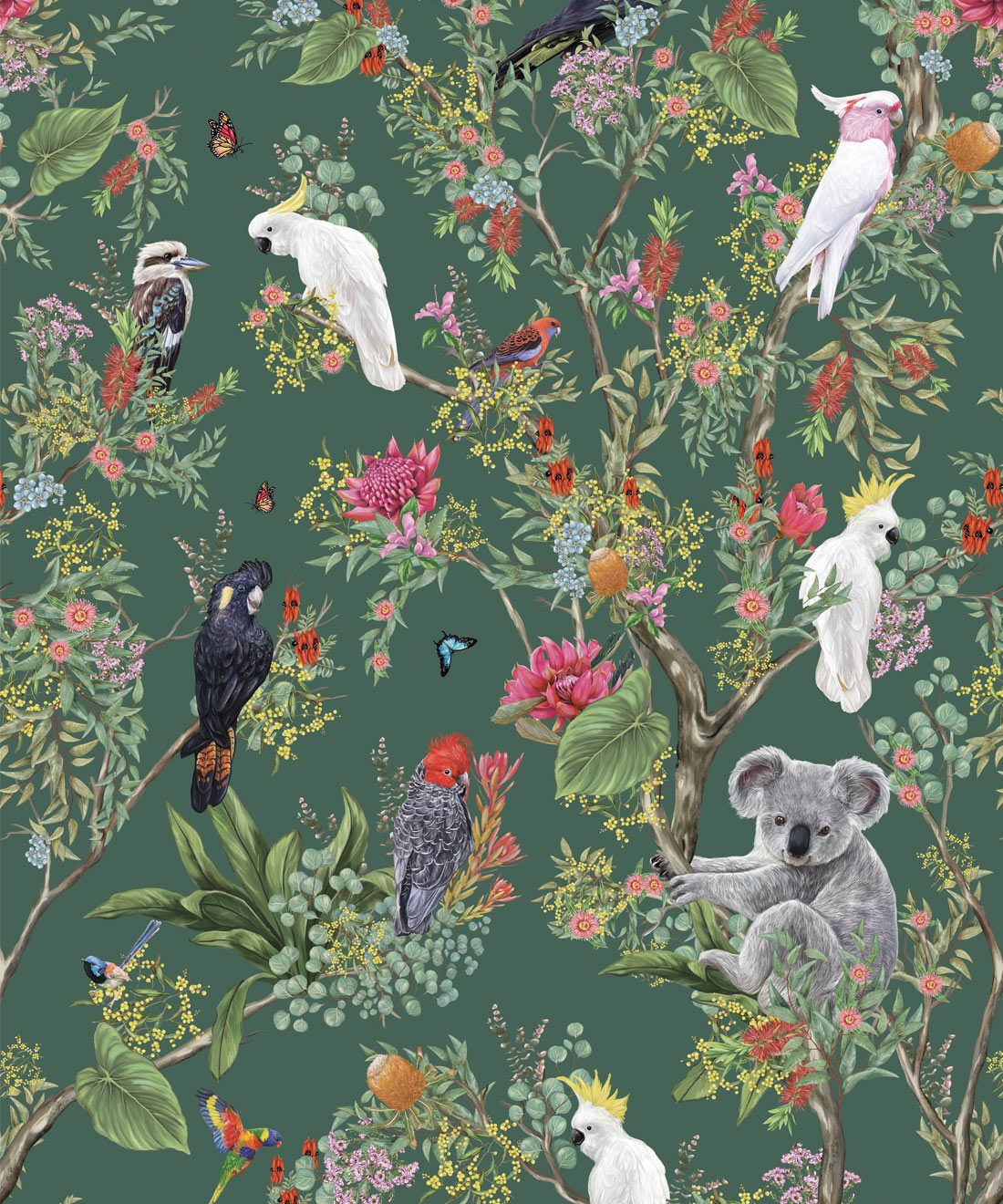 1100x1320 Australia Wallpaper • Koalas and Cockatoos USA