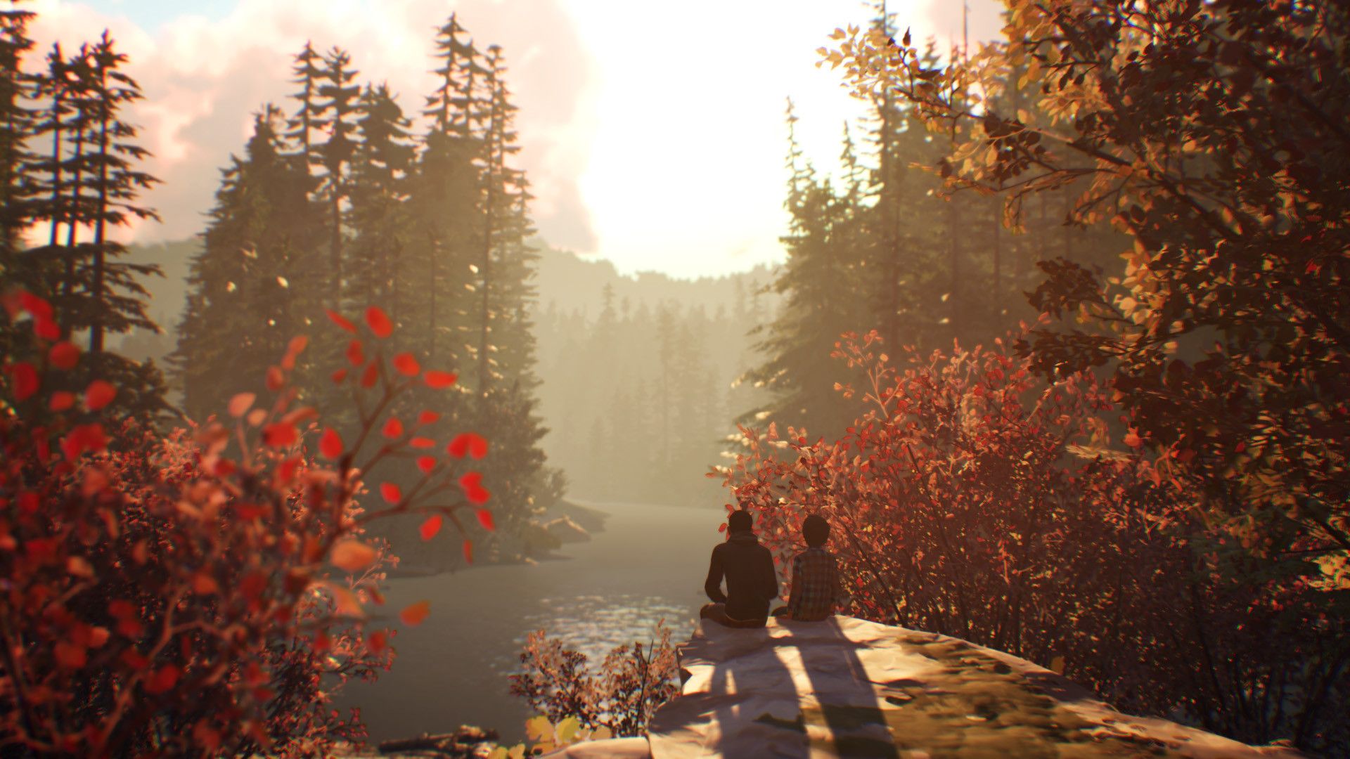 1920x1080 Life is Strange 2 Bay Patches DLC