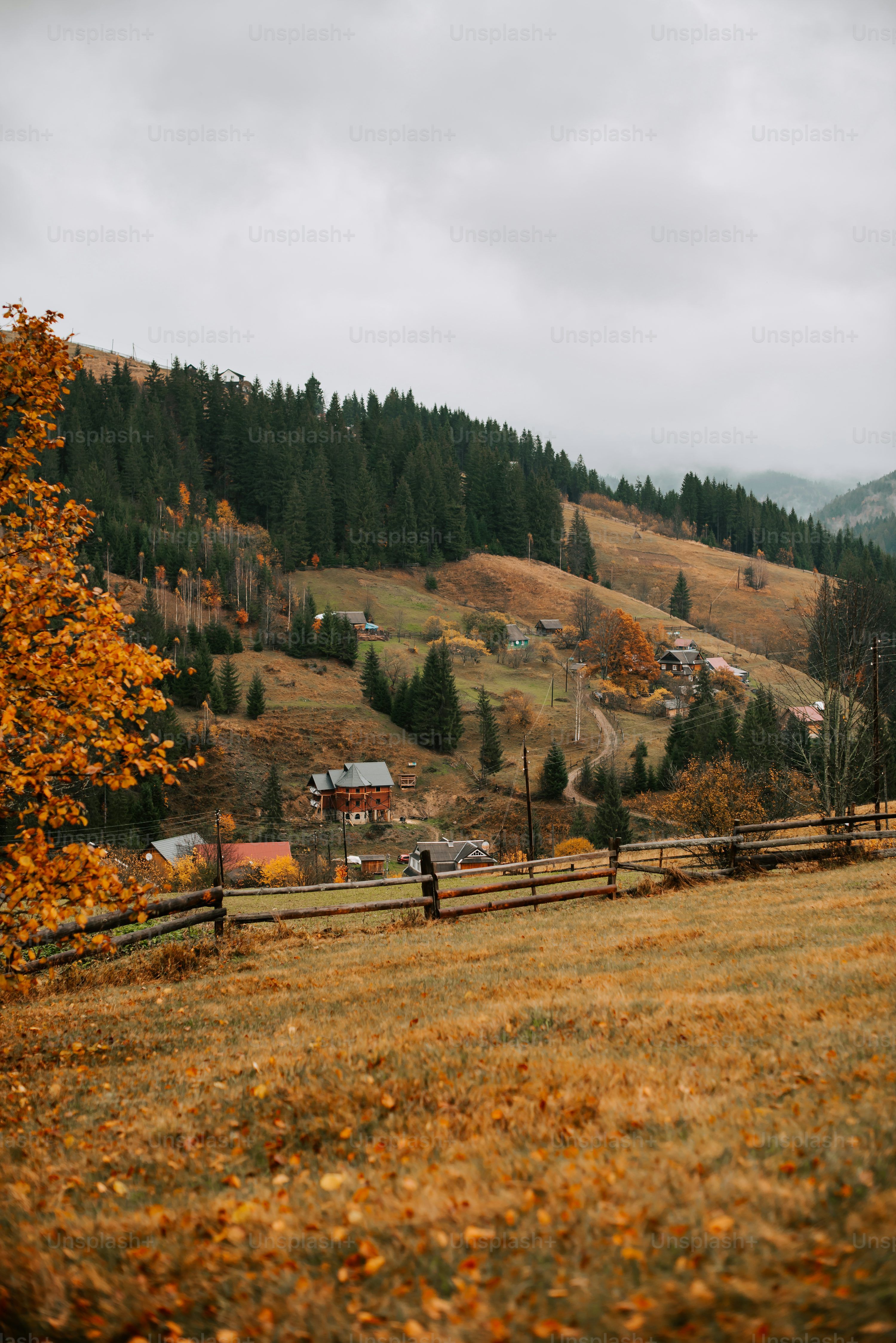 3000x4494 Country Town Picture. Download Free Image