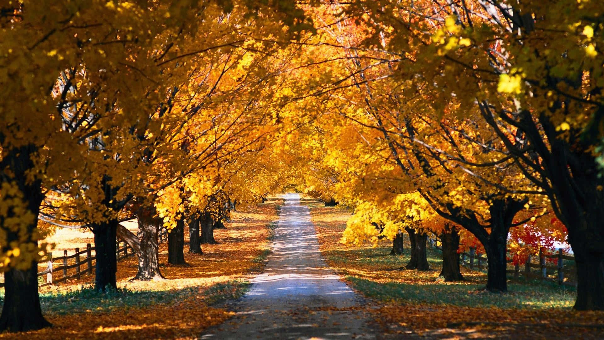 1920x1080 Fall Town Wallpaper