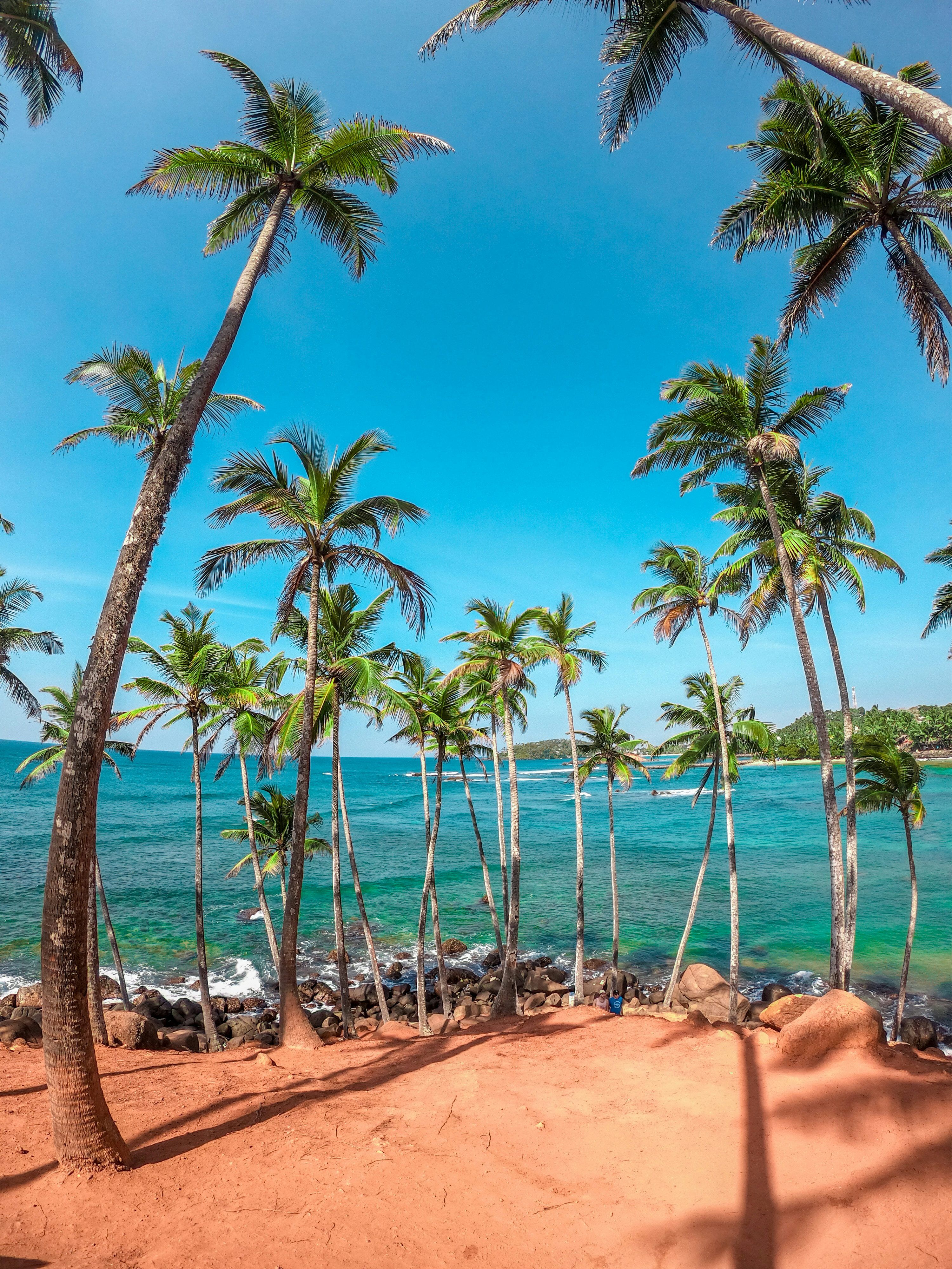 3000x4000 Mirissa Picture. Download Free Image