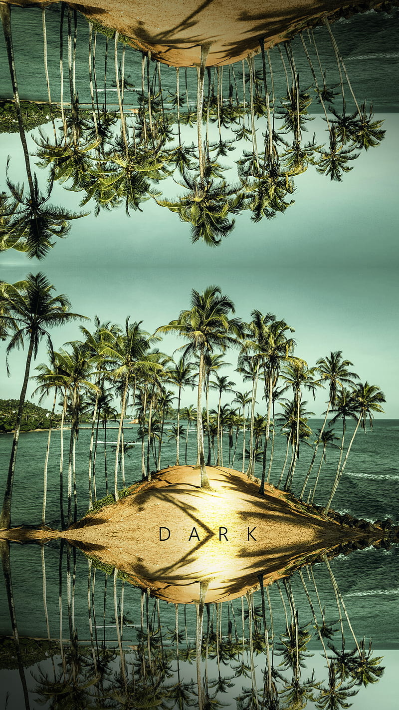 800x1422 Dark Mirissa SL, beach, coconut, iphone, lanka, netflix, ocean, sri lanka, trees, HD phone wallpaper