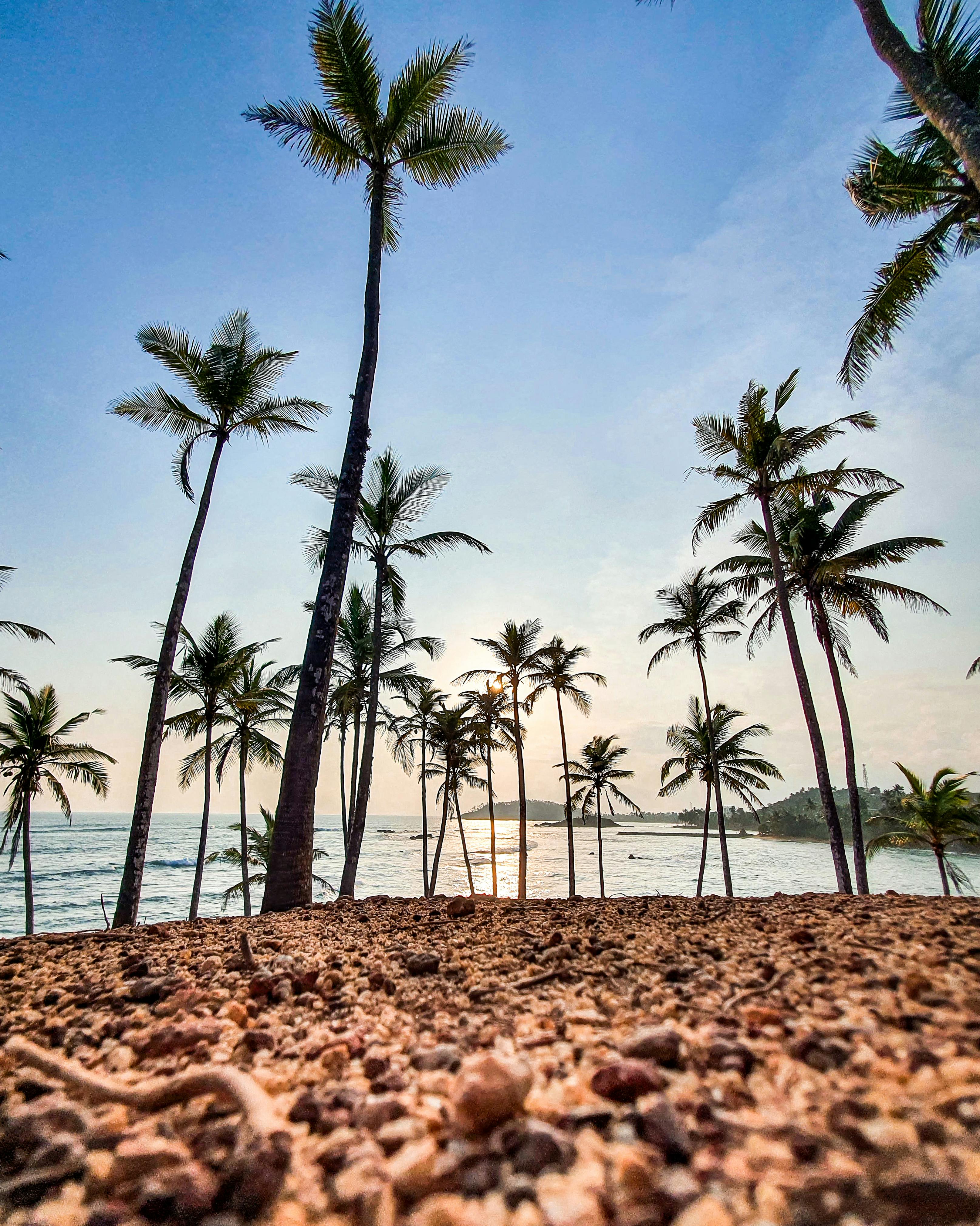 3230x4038 Scenic Palm Lined Beach In Mirissa, Sri Lanka · Free