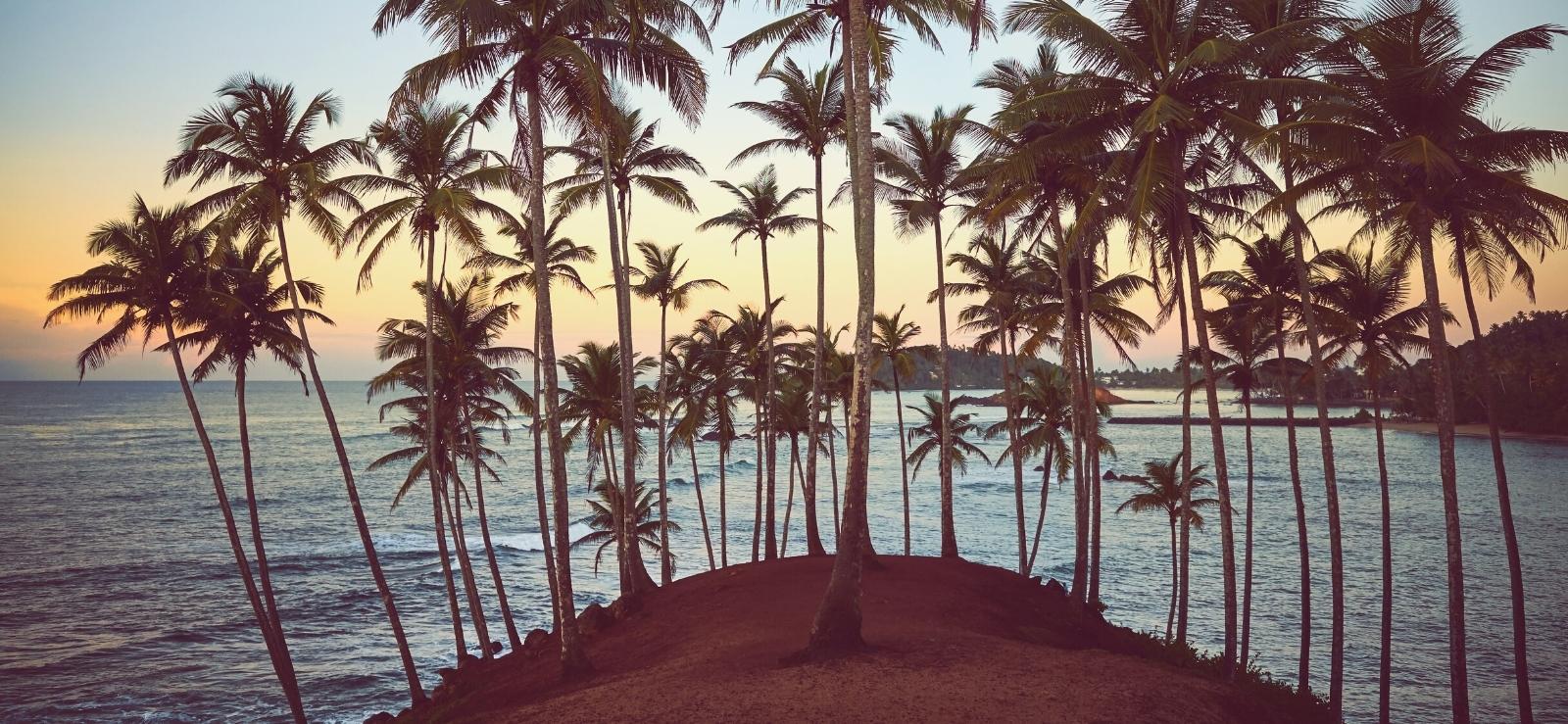 1600x739 Of The Best Things To Do In Mirissa 2023