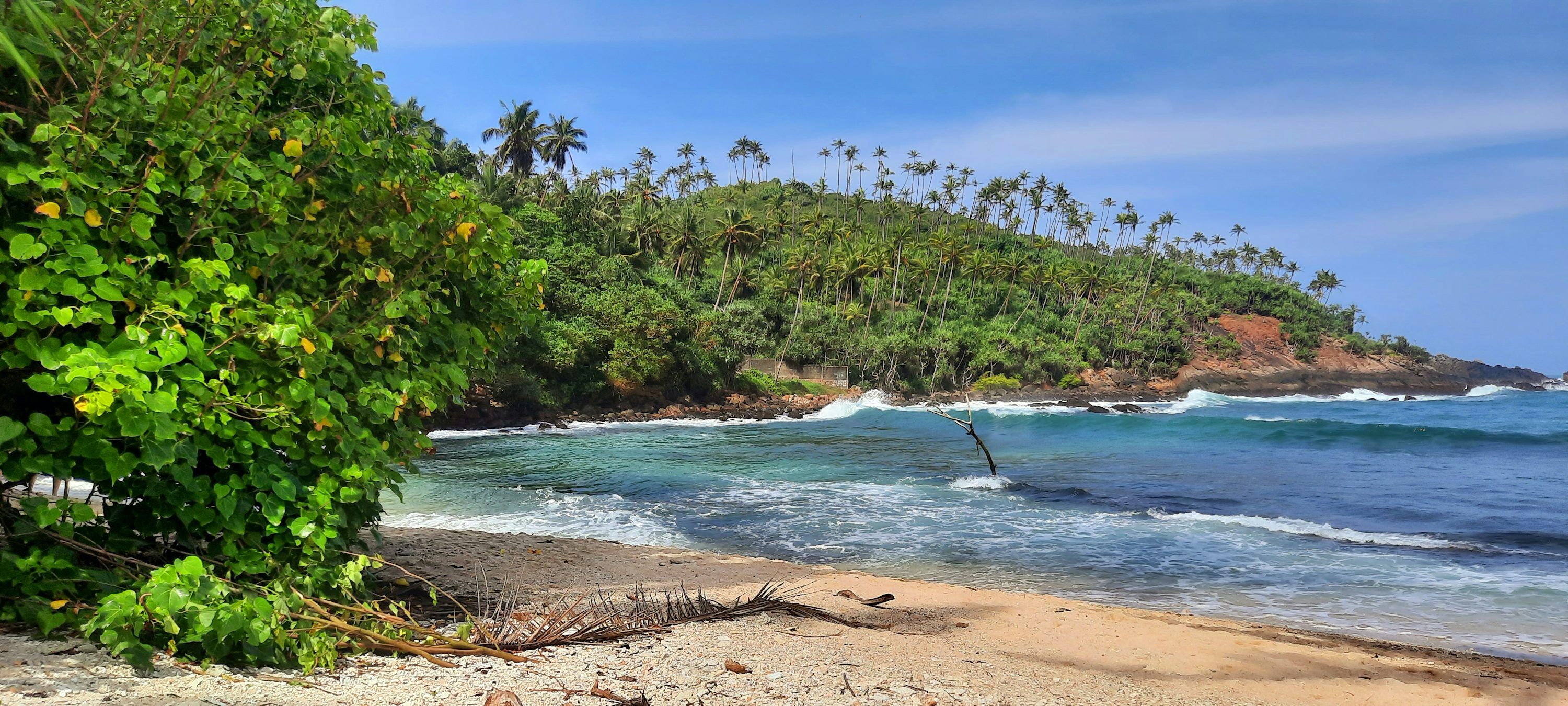 3000x1350 A sandy beach with palm trees and waves photo