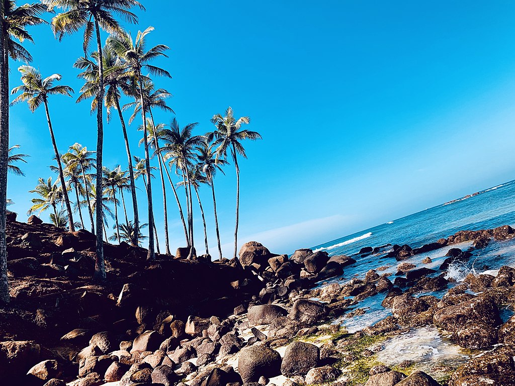 1024x768 Exploring the Paradise of Mirissa: Sri Lanka's Coastal Gem