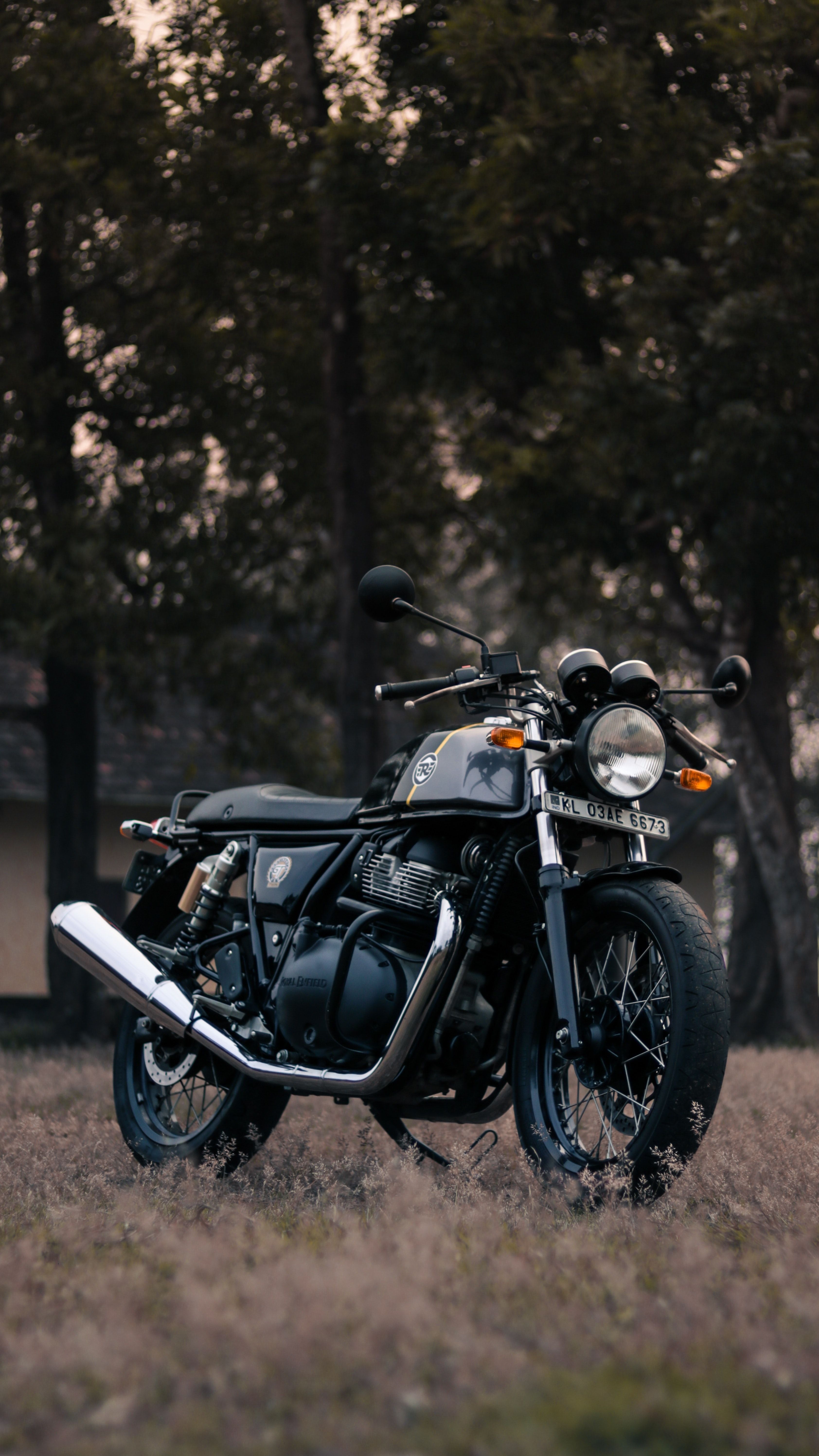3368x5988 Continental GT 650 4k Wallpaper