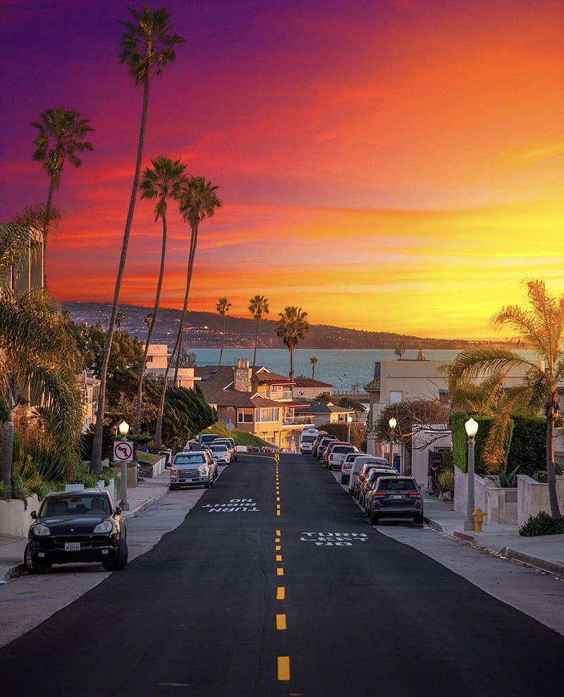 800x989 California Sunset, awesome love, nature, new york, palms, sky, travel, usa, HD phone wallpaper